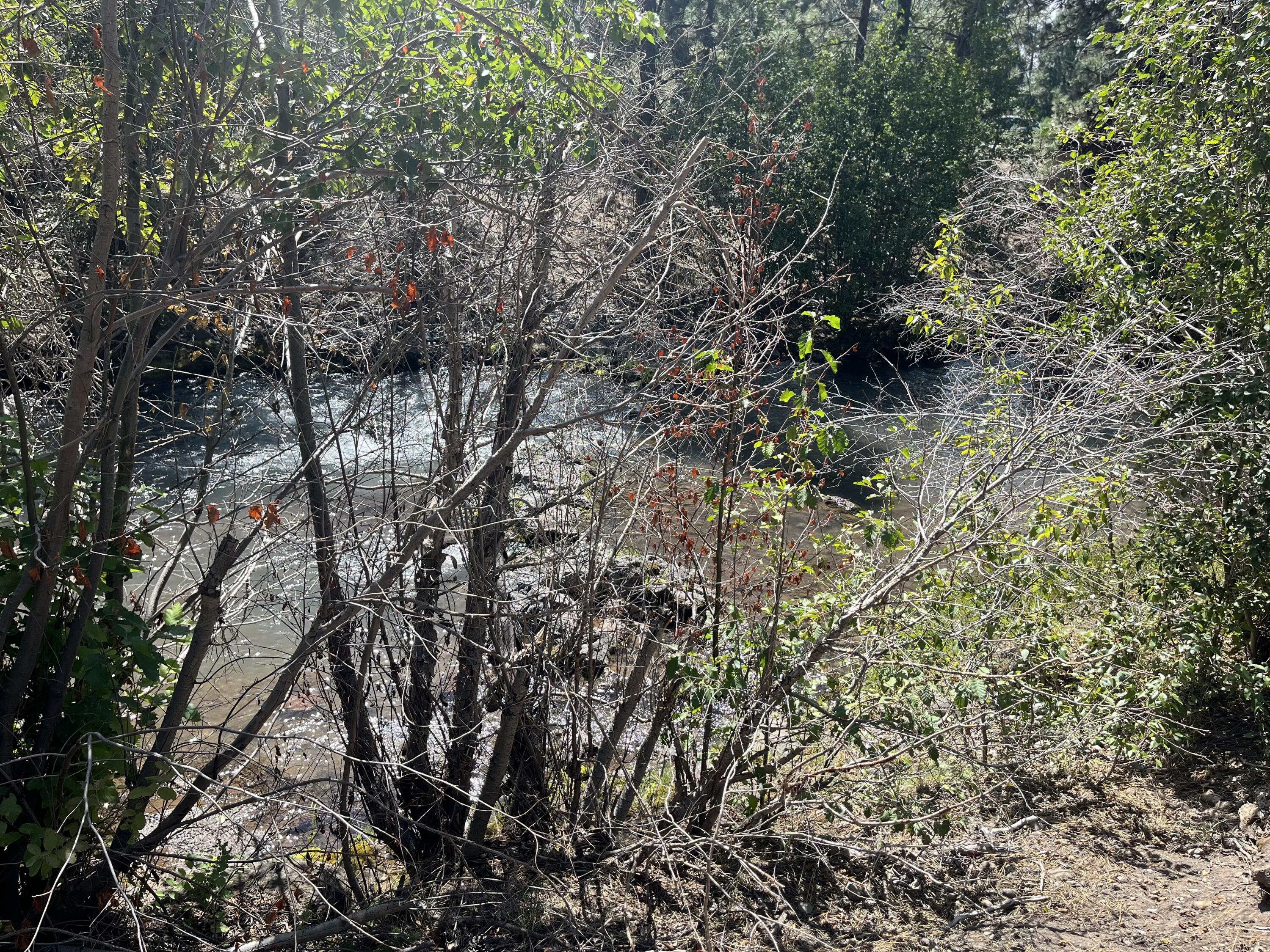 Roaring Springs - Land