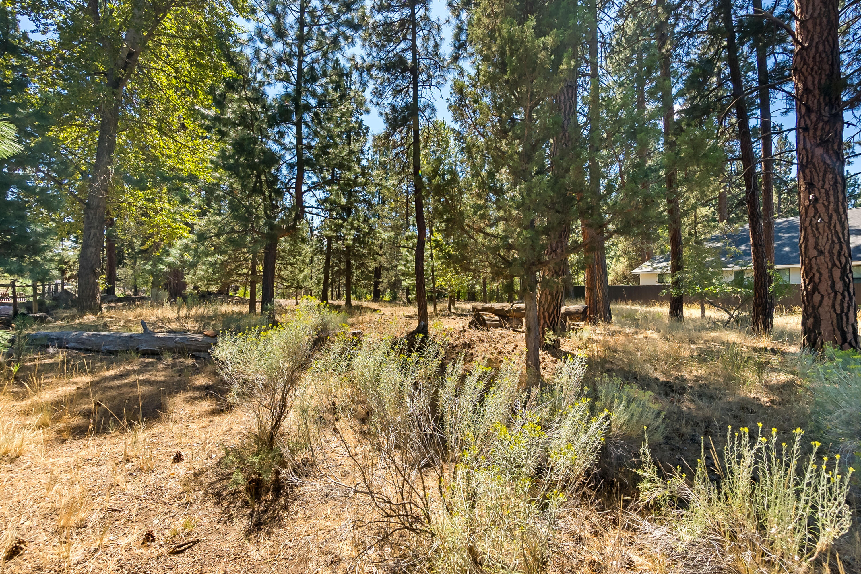 Roaring Springs - Land