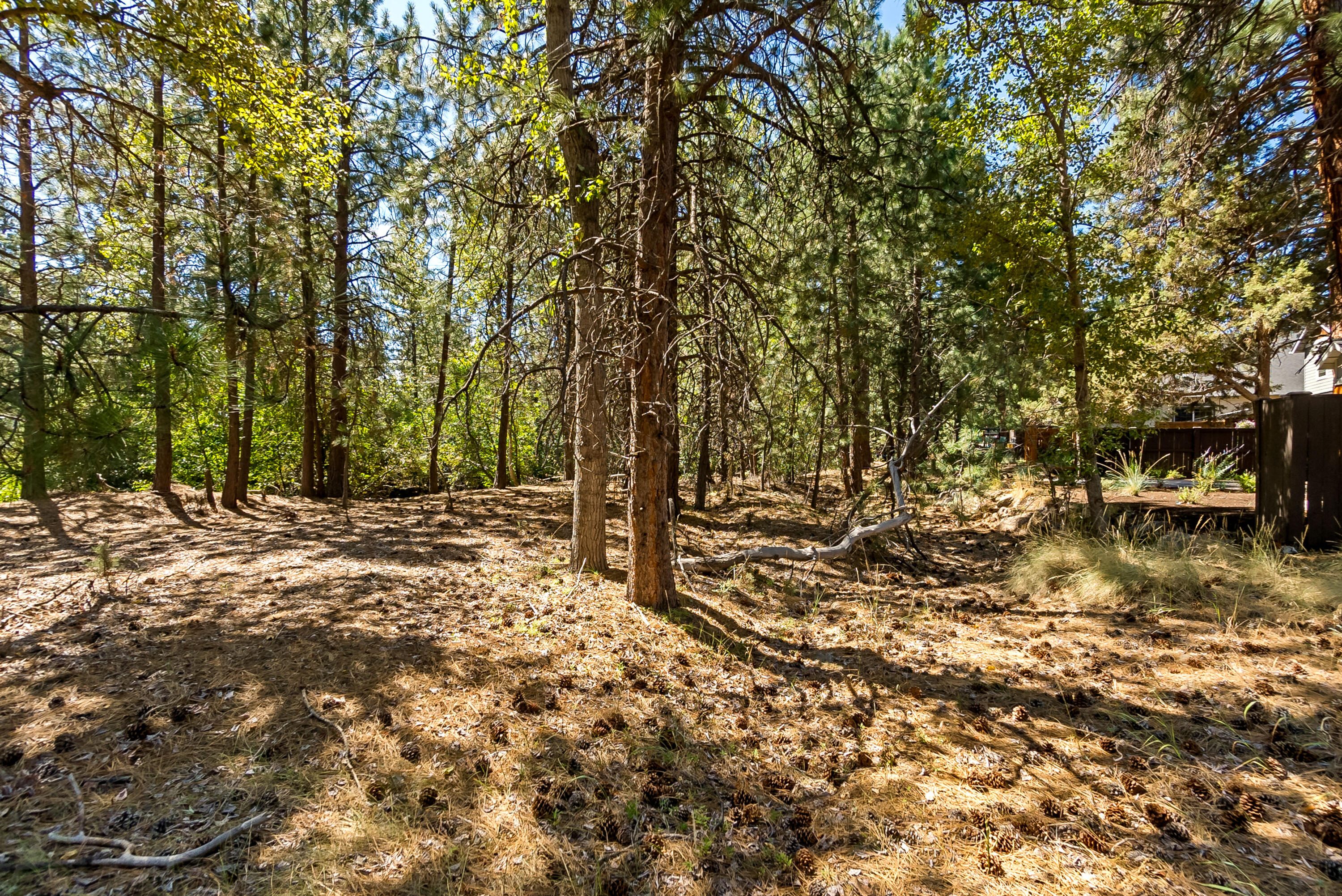 Roaring Springs - Land