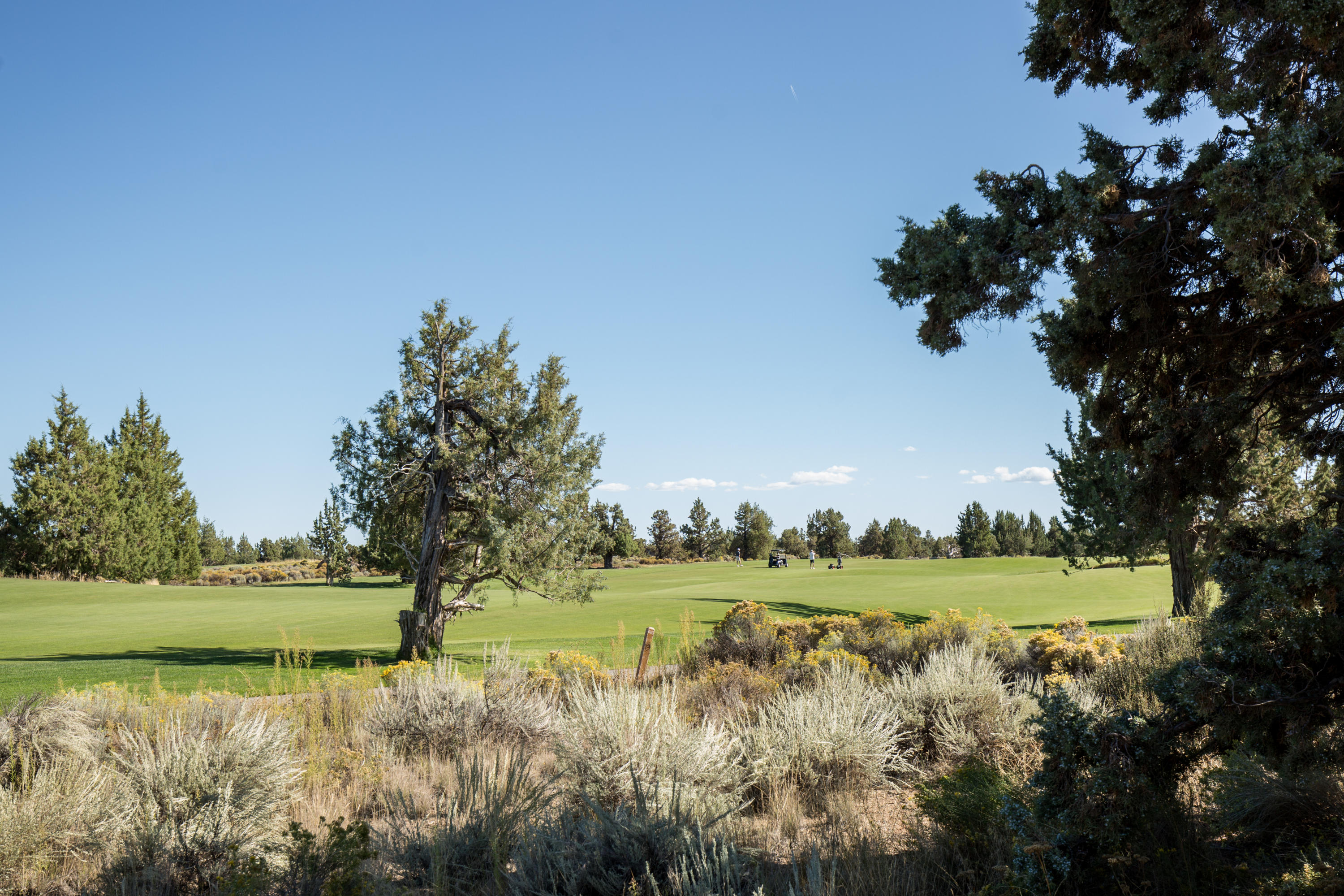 Pronghorn - Residential