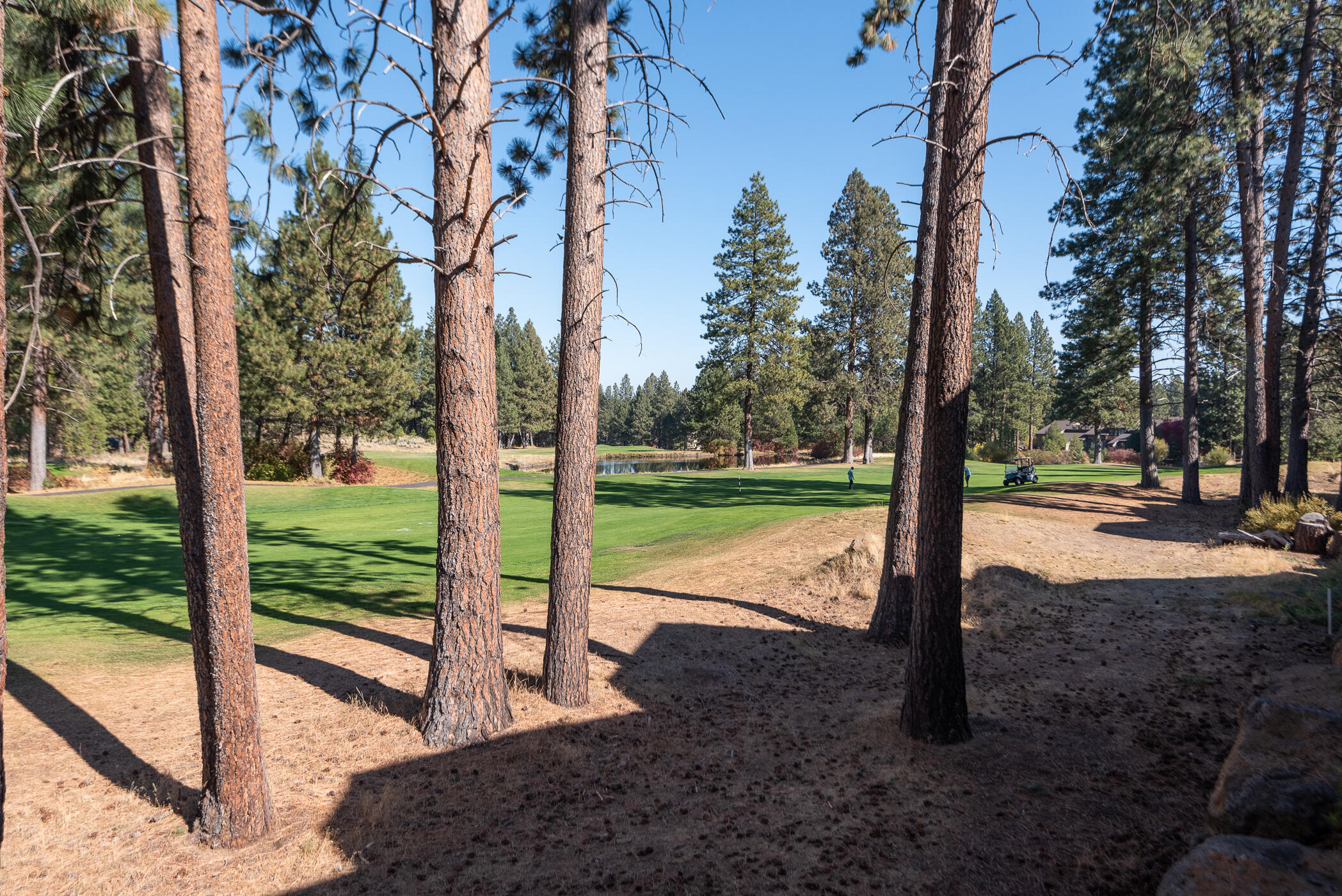 Milepost 1 - Residential