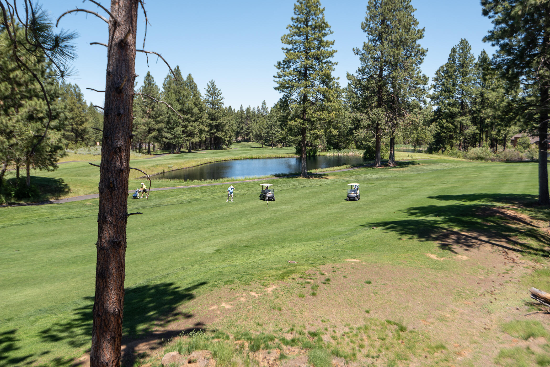 Milepost 1 - Residential