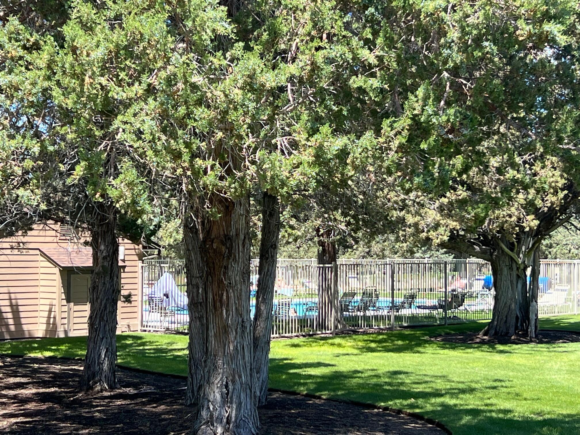 Eagle Crest - Residential