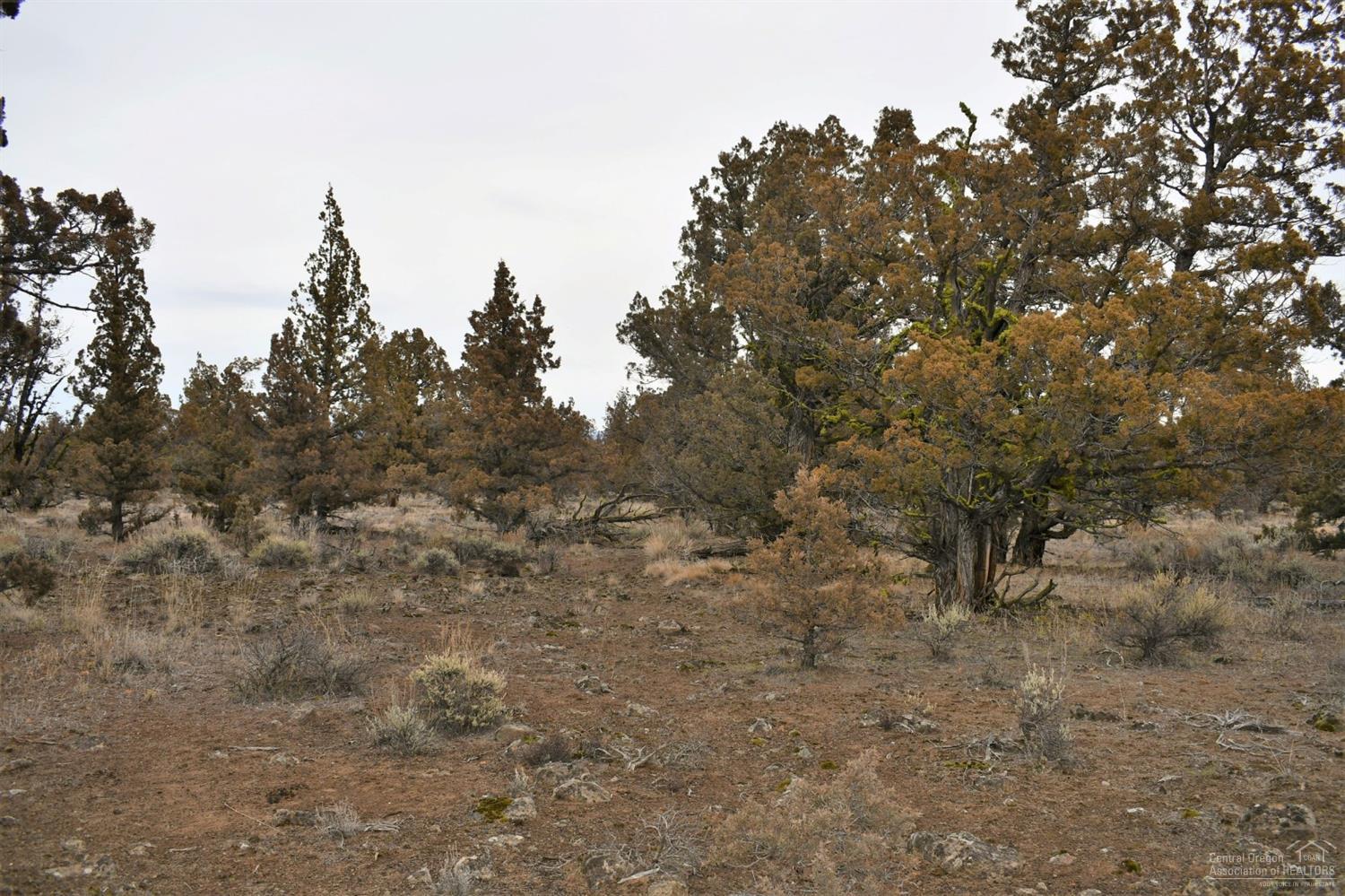 West Powell Butte Es - Land