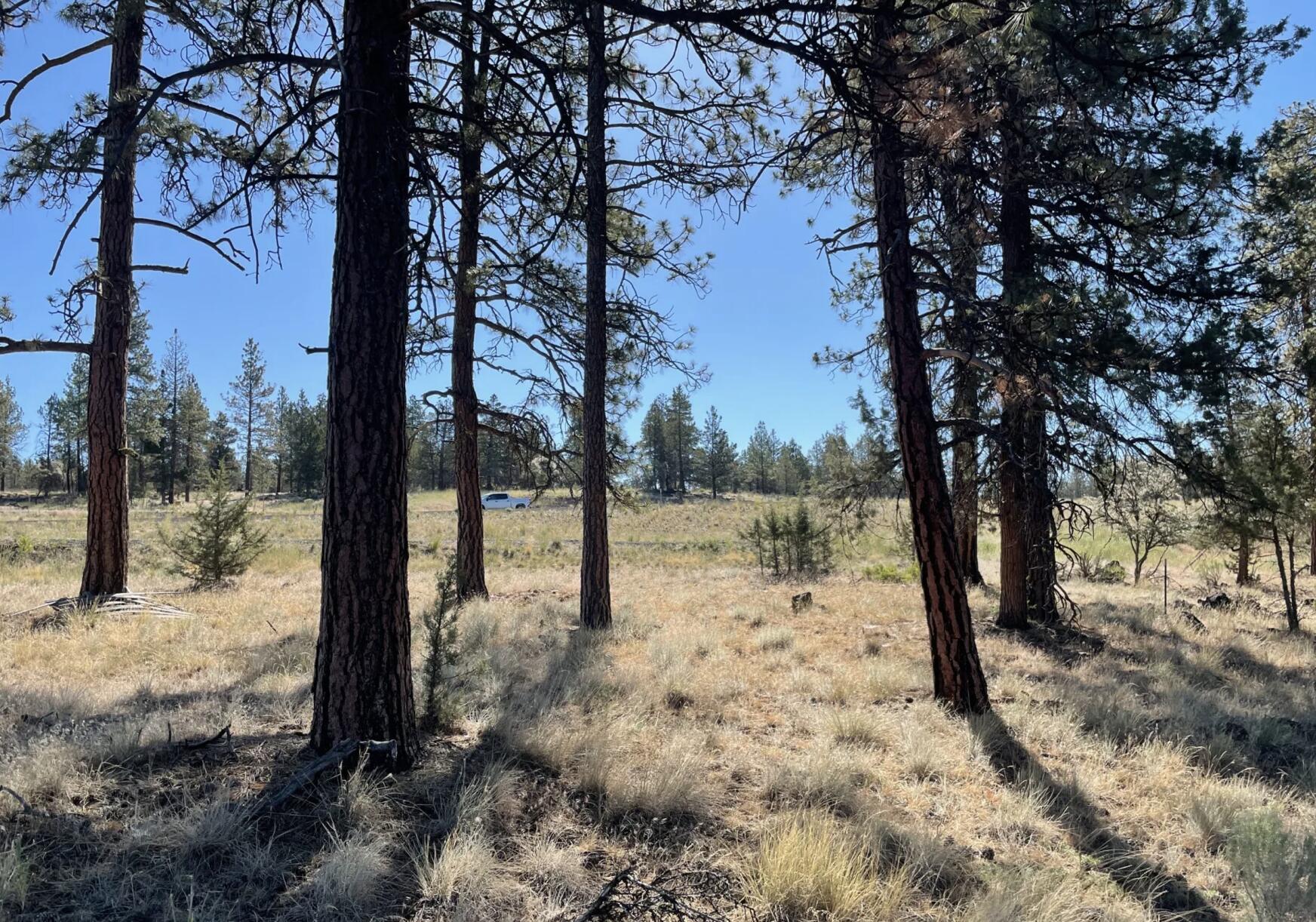 Klamath Falls Forest Estates -Hwy 66 Unit -Plat No. 2 - Land