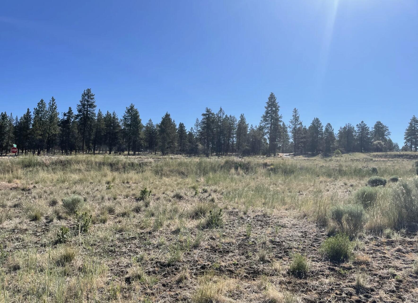 Klamath Falls Forest Estates -Hwy 66 Unit -Plat No. 2 - Land