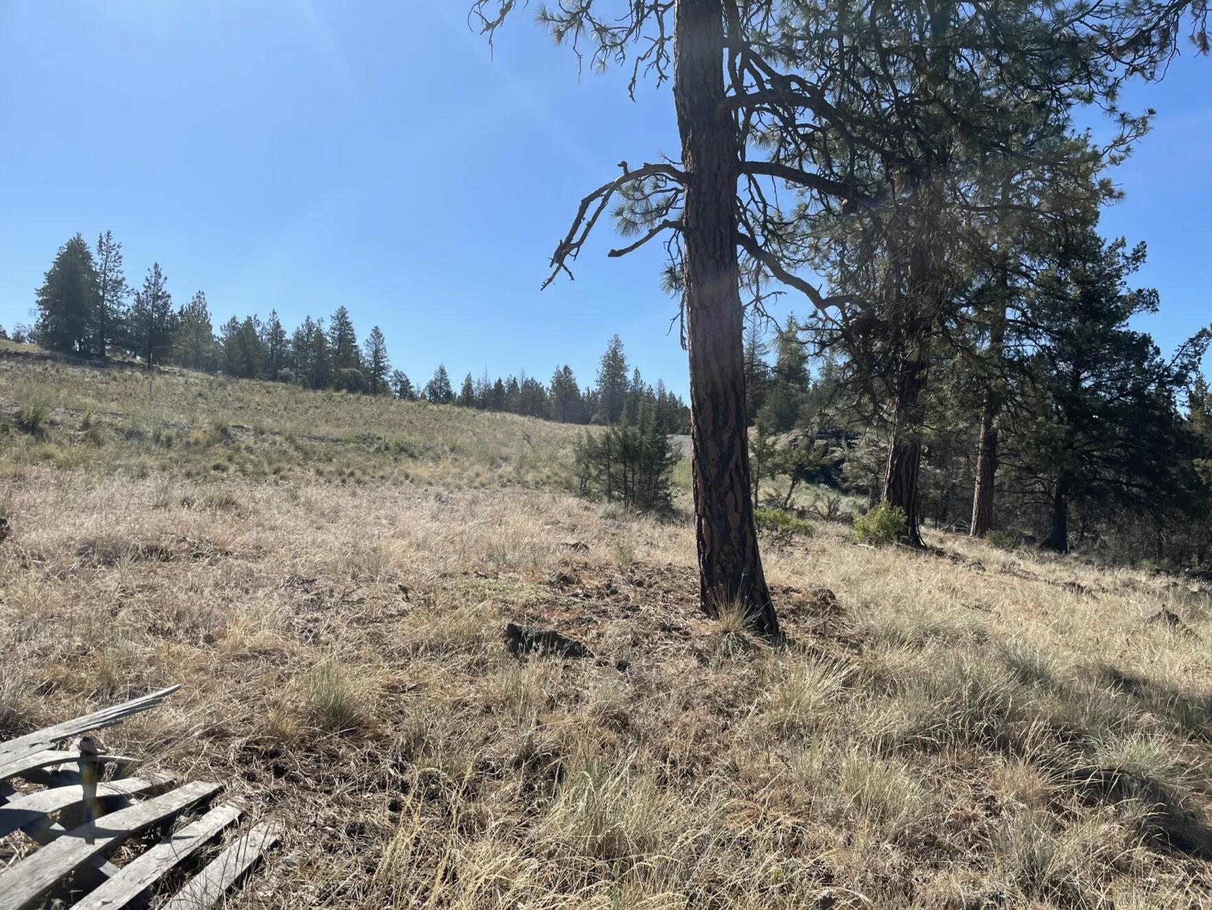 Klamath Falls Forest Estates -Hwy 66 Unit -Plat No. 2 - Land