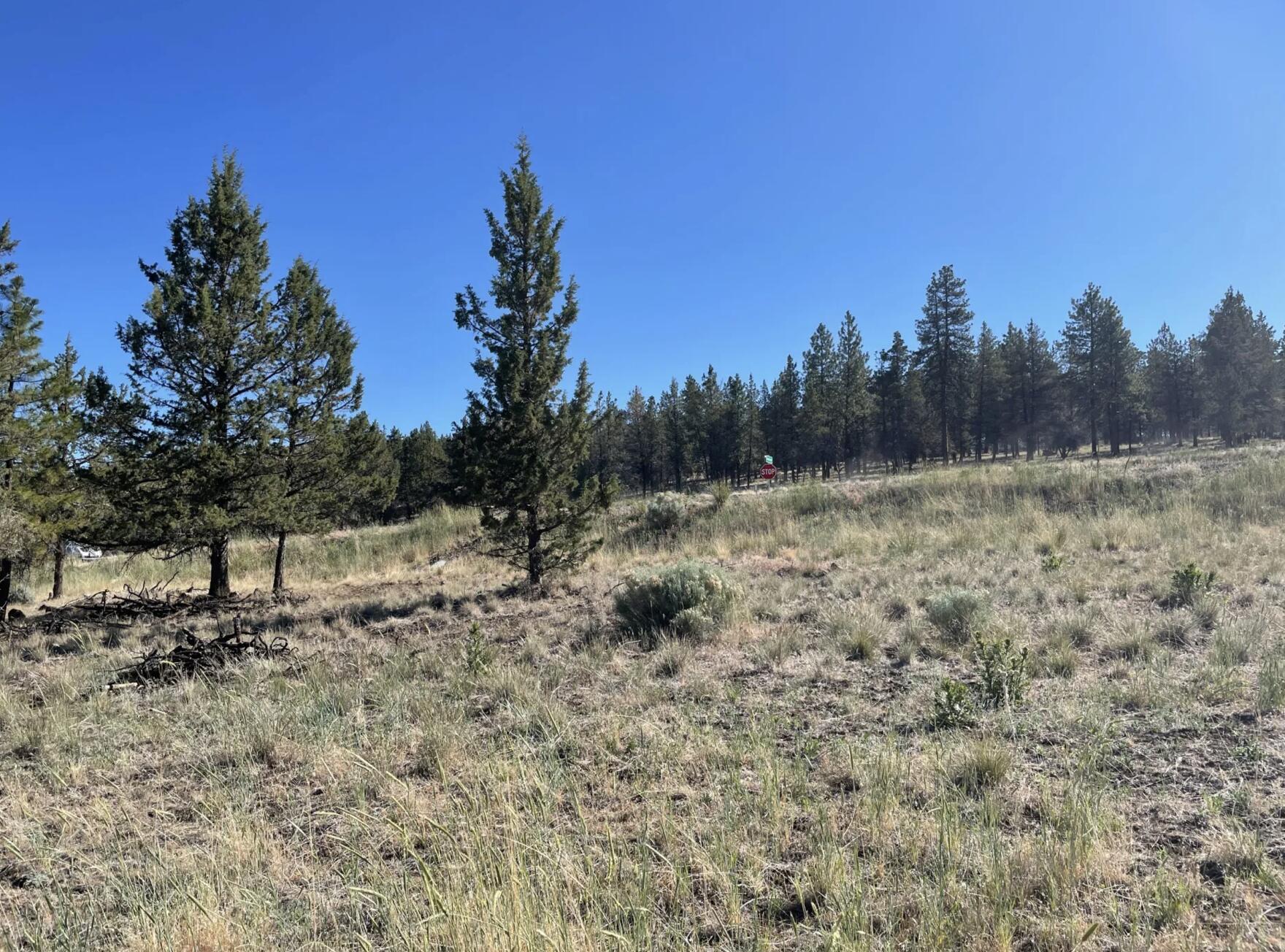 Klamath Falls Forest Estates -Hwy 66 Unit -Plat No. 2 - Land