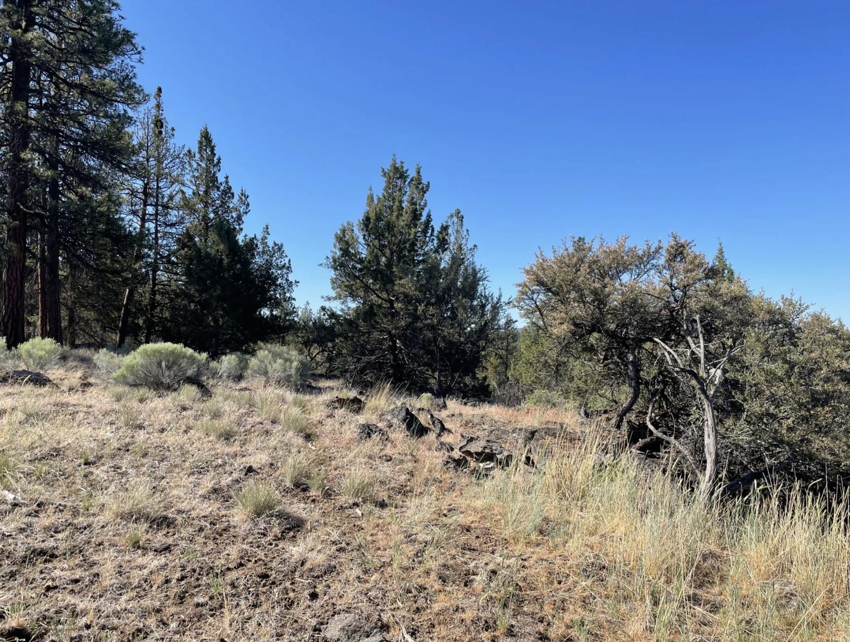 Klamath Falls Forest Estates -Hwy 66 Unit -Plat No. 2 - Land