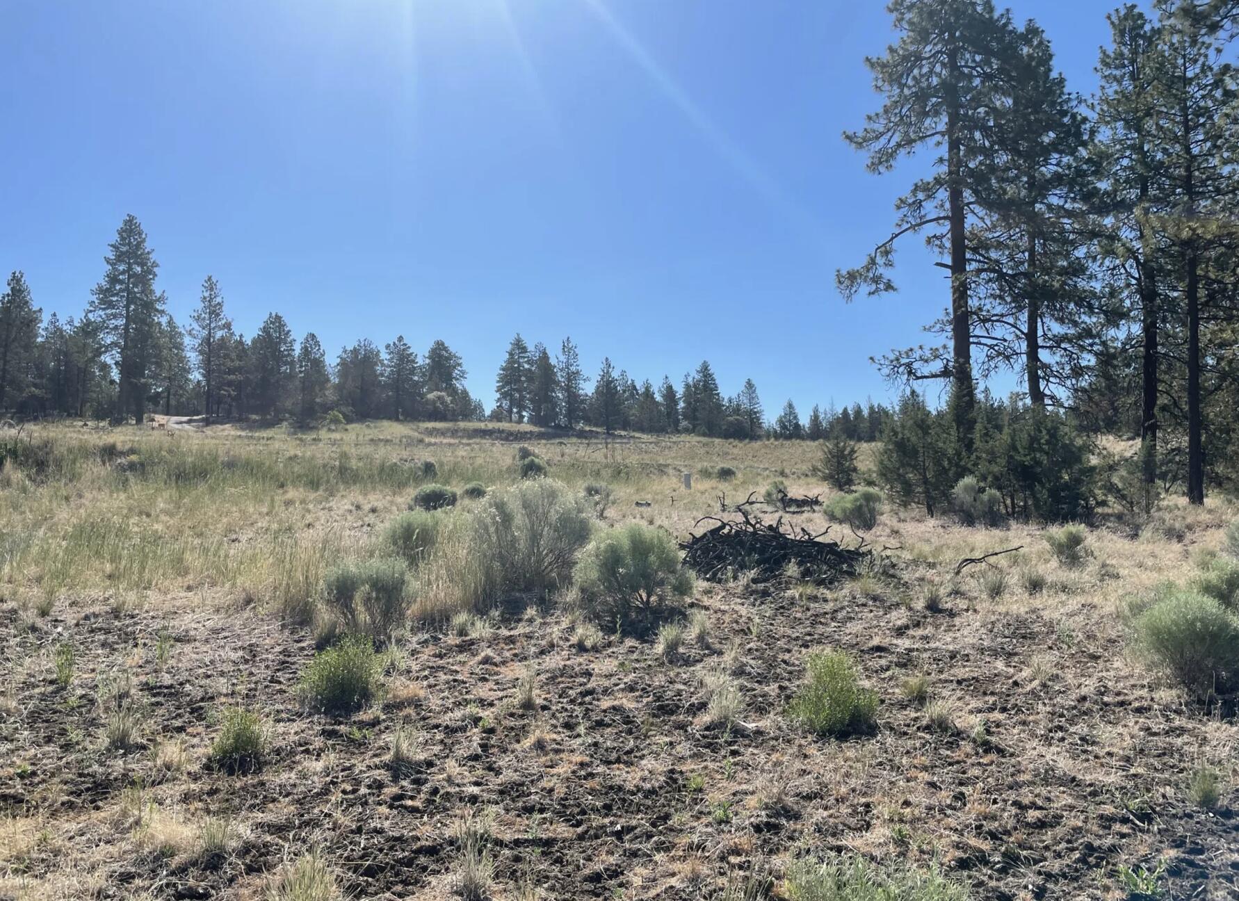 Klamath Falls Forest Estates -Hwy 66 Unit -Plat No. 2 - Land