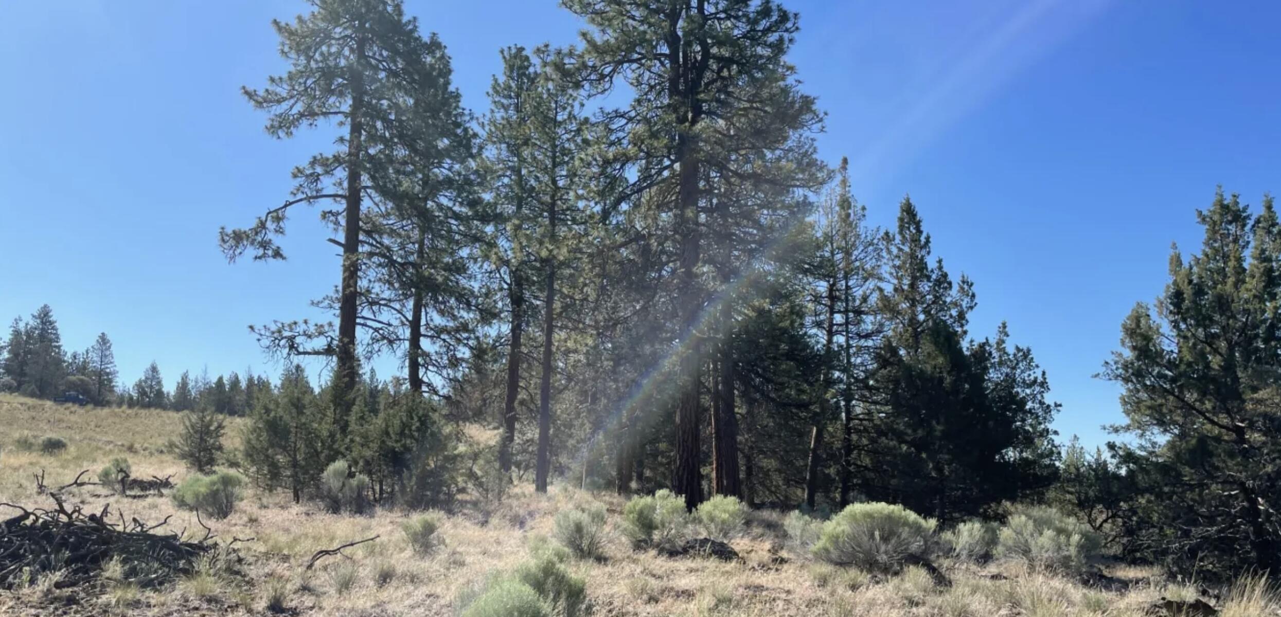 Klamath Falls Forest Estates -Hwy 66 Unit -Plat No. 2 - Land