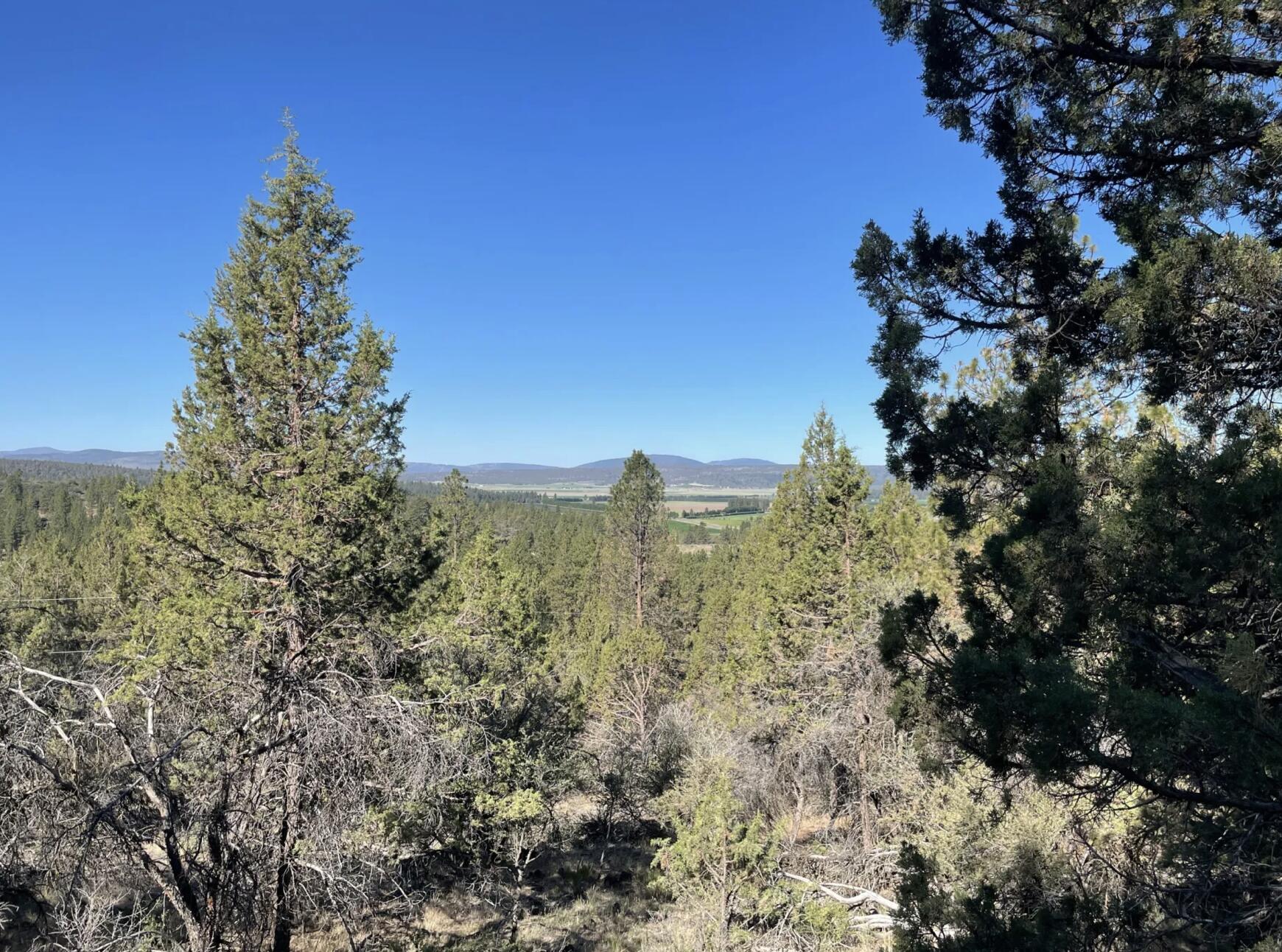 Klamath Falls Forest Estates -Hwy 66 Unit -Plat No. 2 - Land