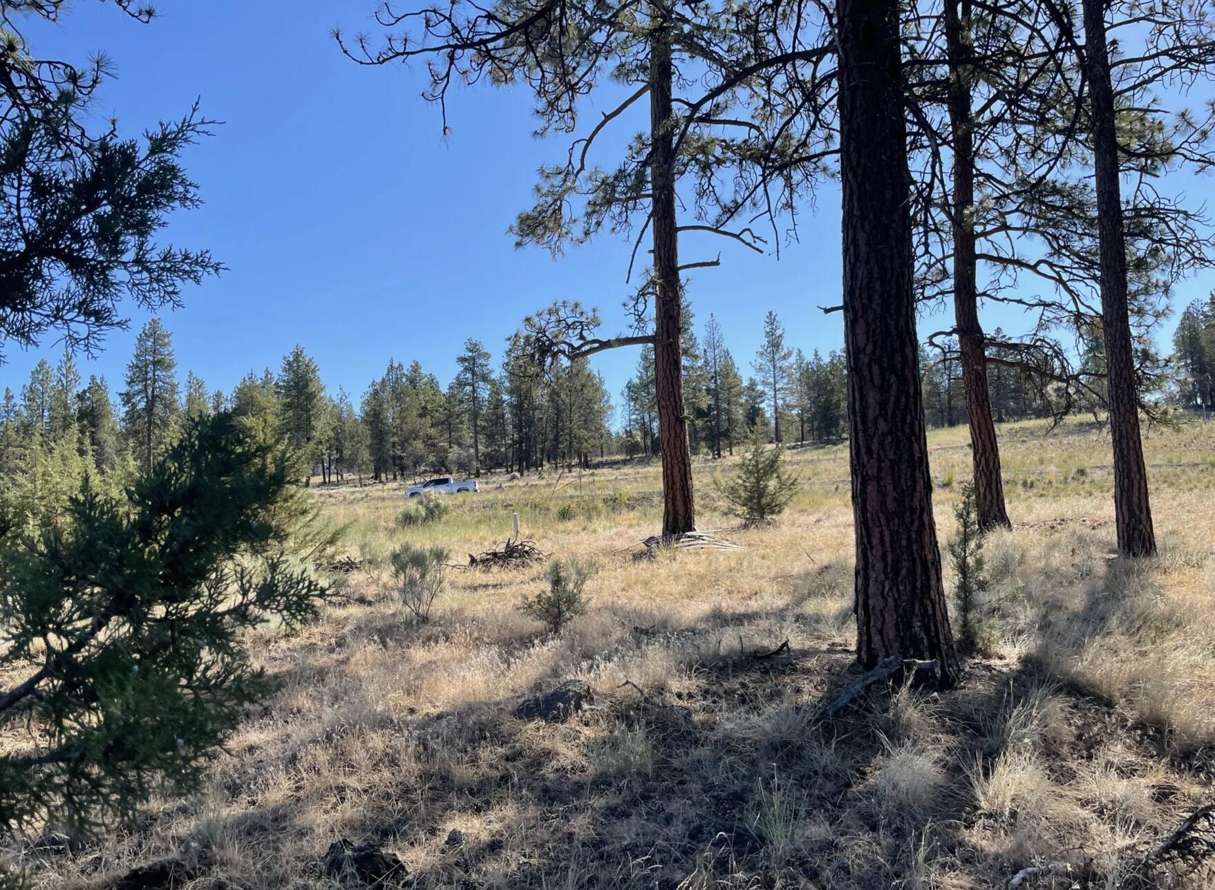 Klamath Falls Forest Estates -Hwy 66 Unit -Plat No. 2 - Land