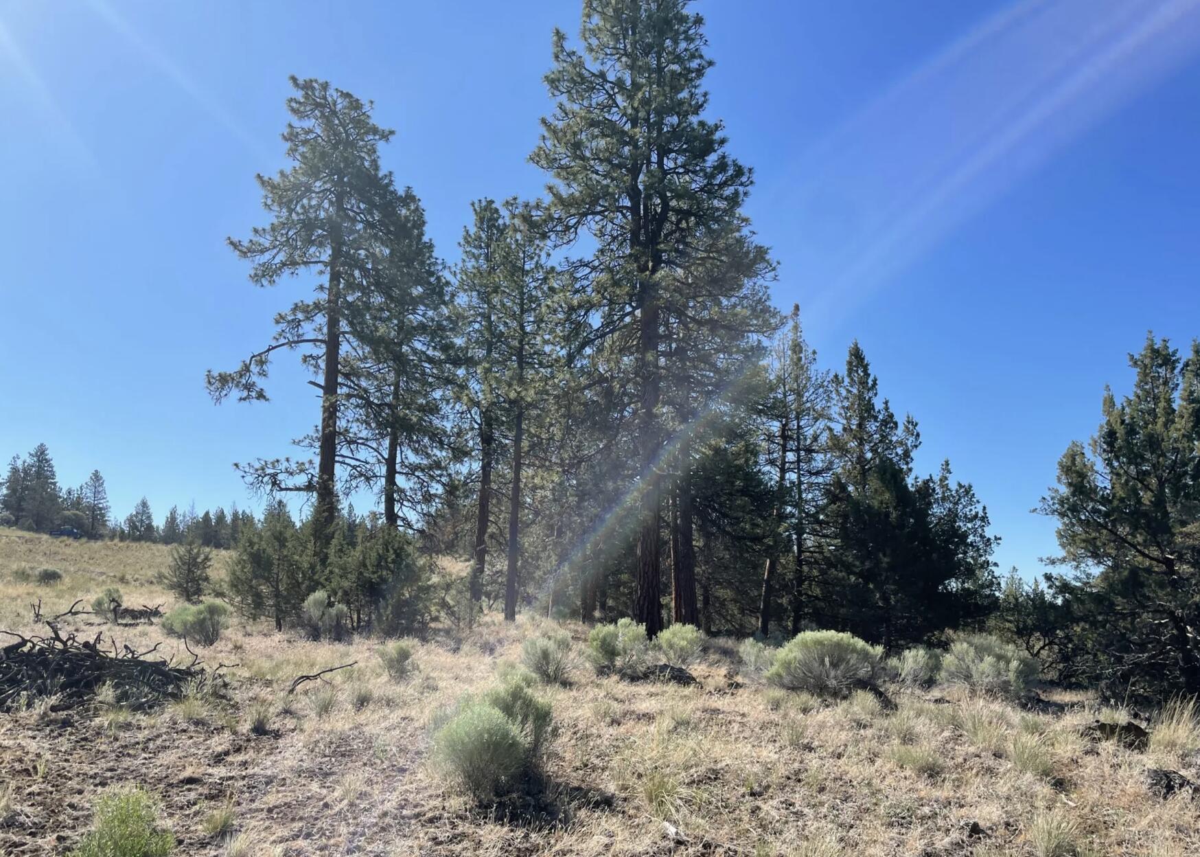Klamath Falls Forest Estates -Hwy 66 Unit -Plat No. 2 - Land