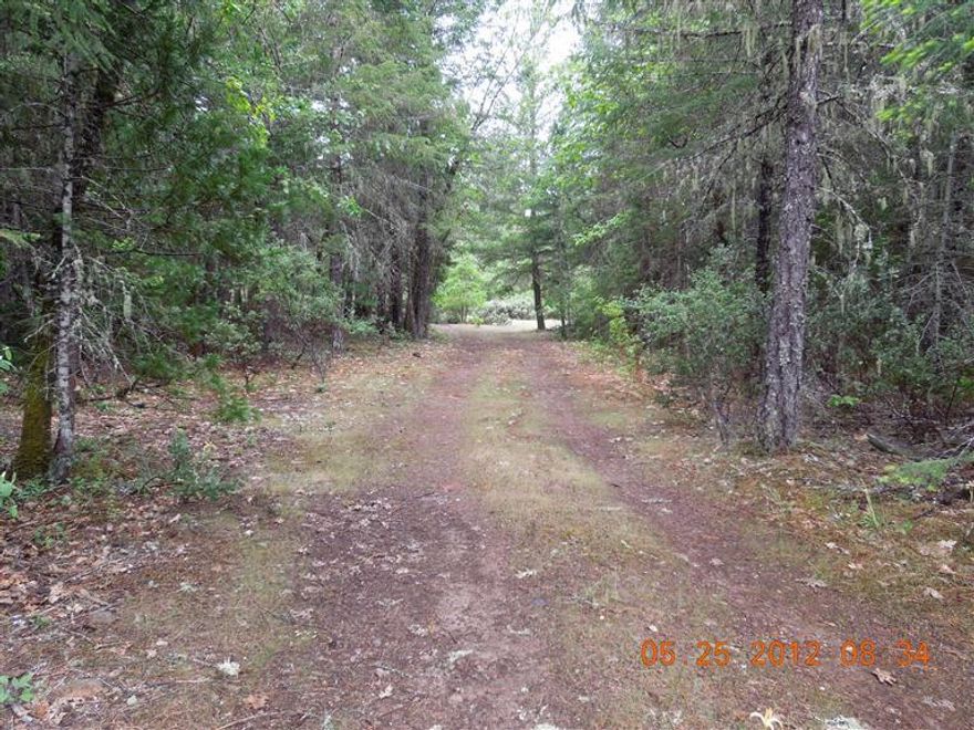 Level property with a nice mixture of woods. Wildflowers, wildlife, heavily wooded, secluded property. Some clearing has been done for homesite, well and septic are in and power is to the property edge. Nice location approx 3 miles to town. Flag lot affords buffer and more privacy off Rockydale Rd.