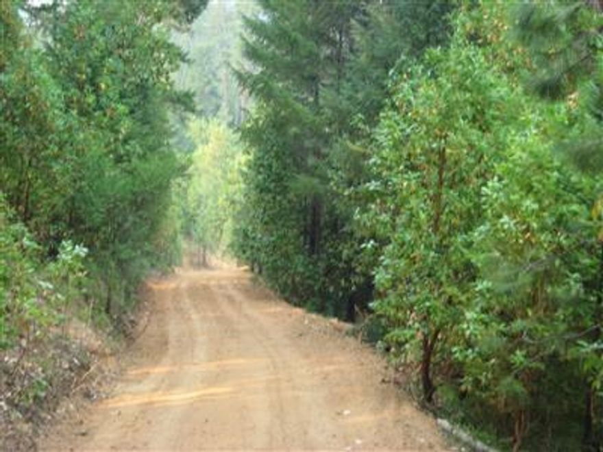 First time ever on the market. Heavily wooded 40 acre homesite with paved county road frontage, homesite and standard septic approval. Brand new 80 GPM well. 2006 cruise shows 258 MBF of timber. Driveway roughed in to homesite. Borders BLM land on 2 sides. Low taxes ($112.00 per year). Great piece of ground with great views, privacy and reasonable proximity to town.