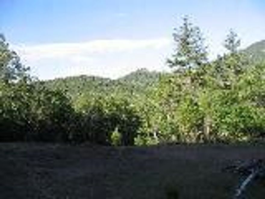 Approved 21 Acre Homesite! Private forest setting with beautiful views and septic approval. Acreage backs to BLM and is located 5 miles up Highway 227-above the fog line! Possible owner carry - call for details.