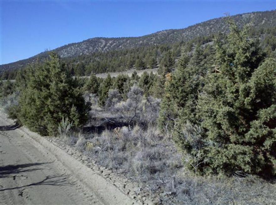 This 7 acre parcel has great potential. Prineville Reservoir with access to 2 different boat ramps are within 3 miles of the property. Property also borders BLM for additional recreation opportunities and privacy. There are 2 loafing sheds and a start of a pole barn / covered area. Property has easy access off Juniper Canyon, has been septic approved and power is at the road. Nice level buildable parcel ~ come take a look!