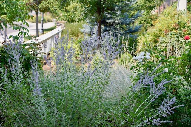 Old Bridge Village - Residential