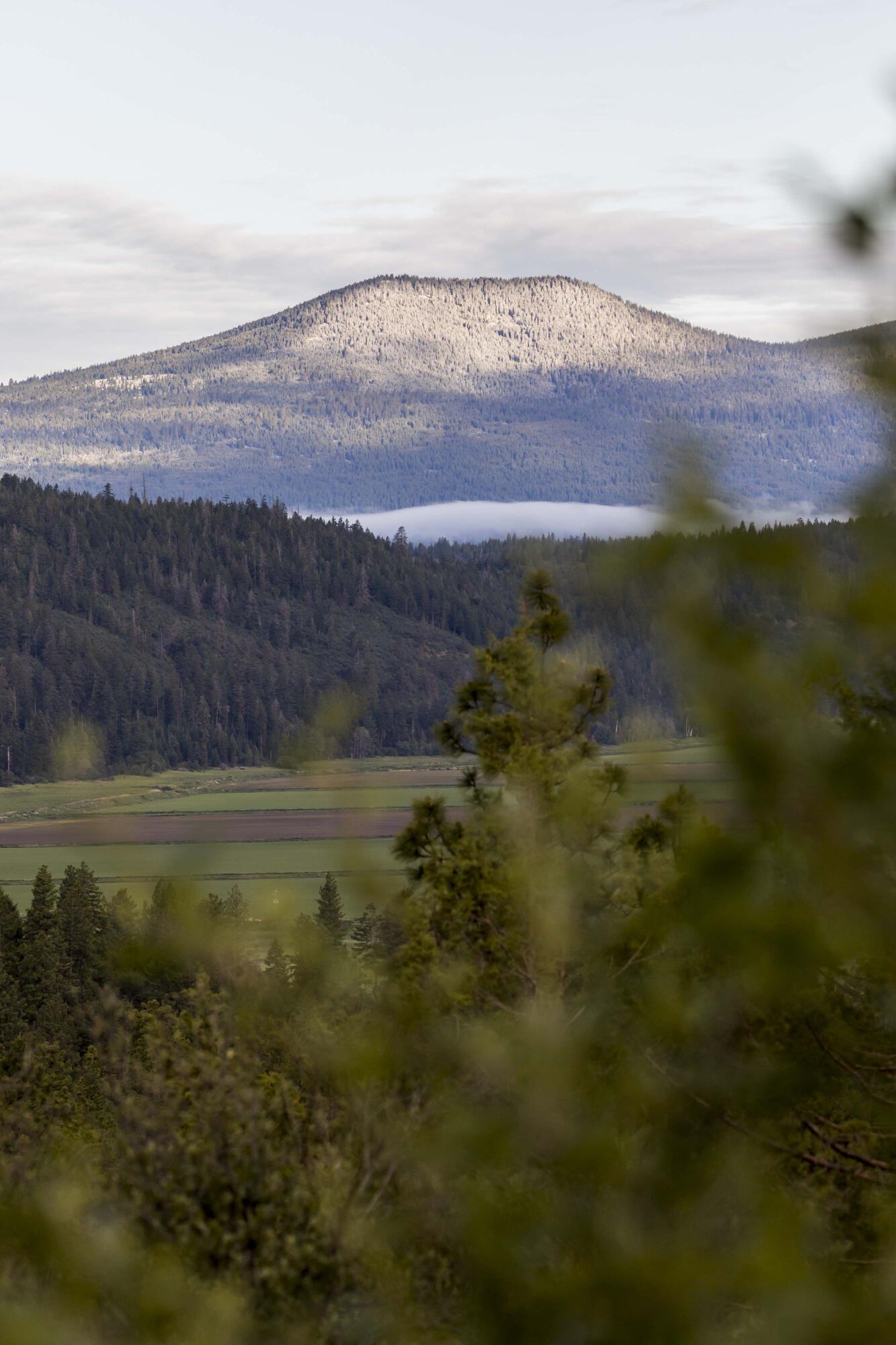 Ridgewater Subdivision -Phase 1 - Land