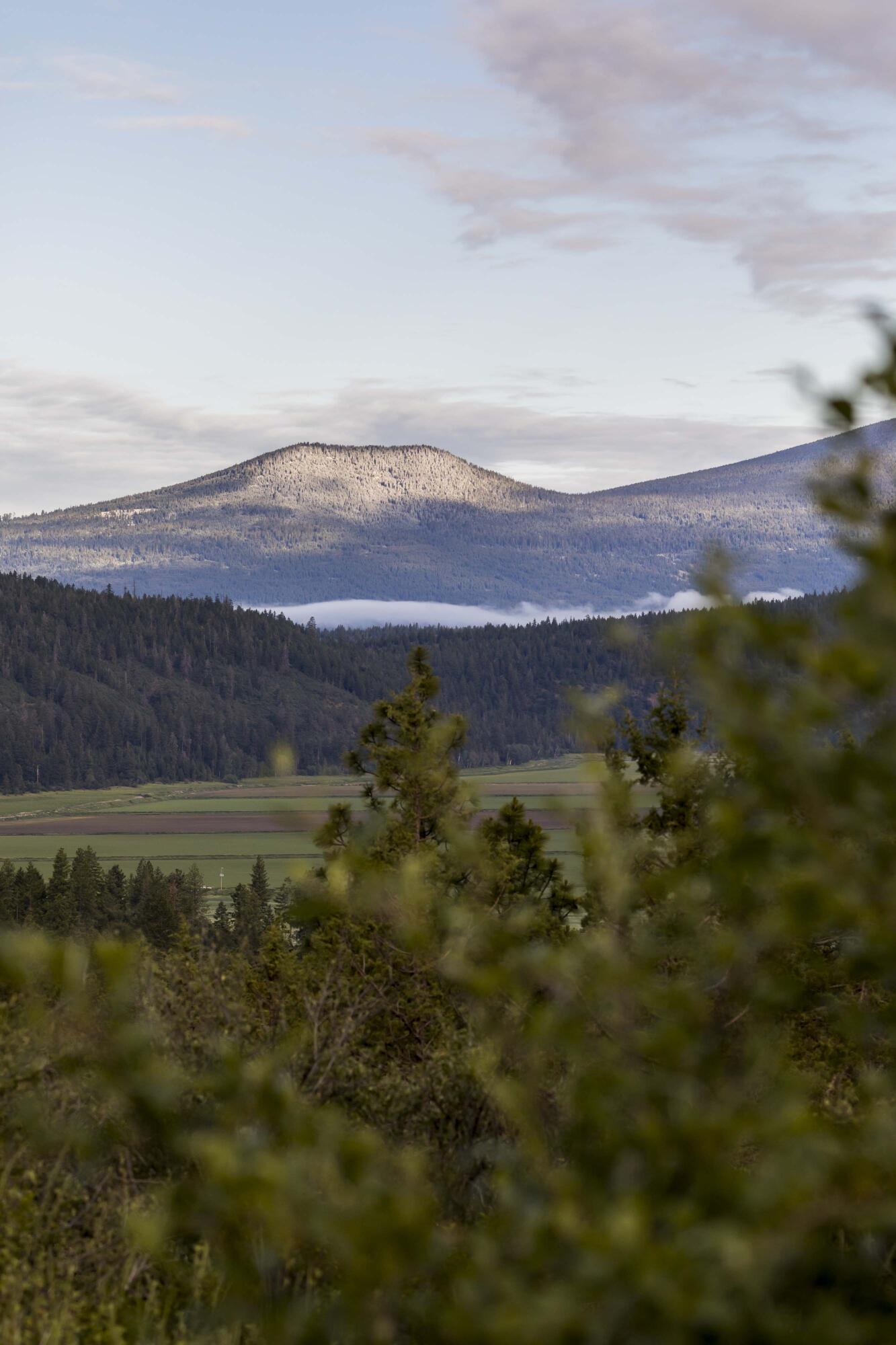 Ridgewater Subdivision -Phase 1 - Land