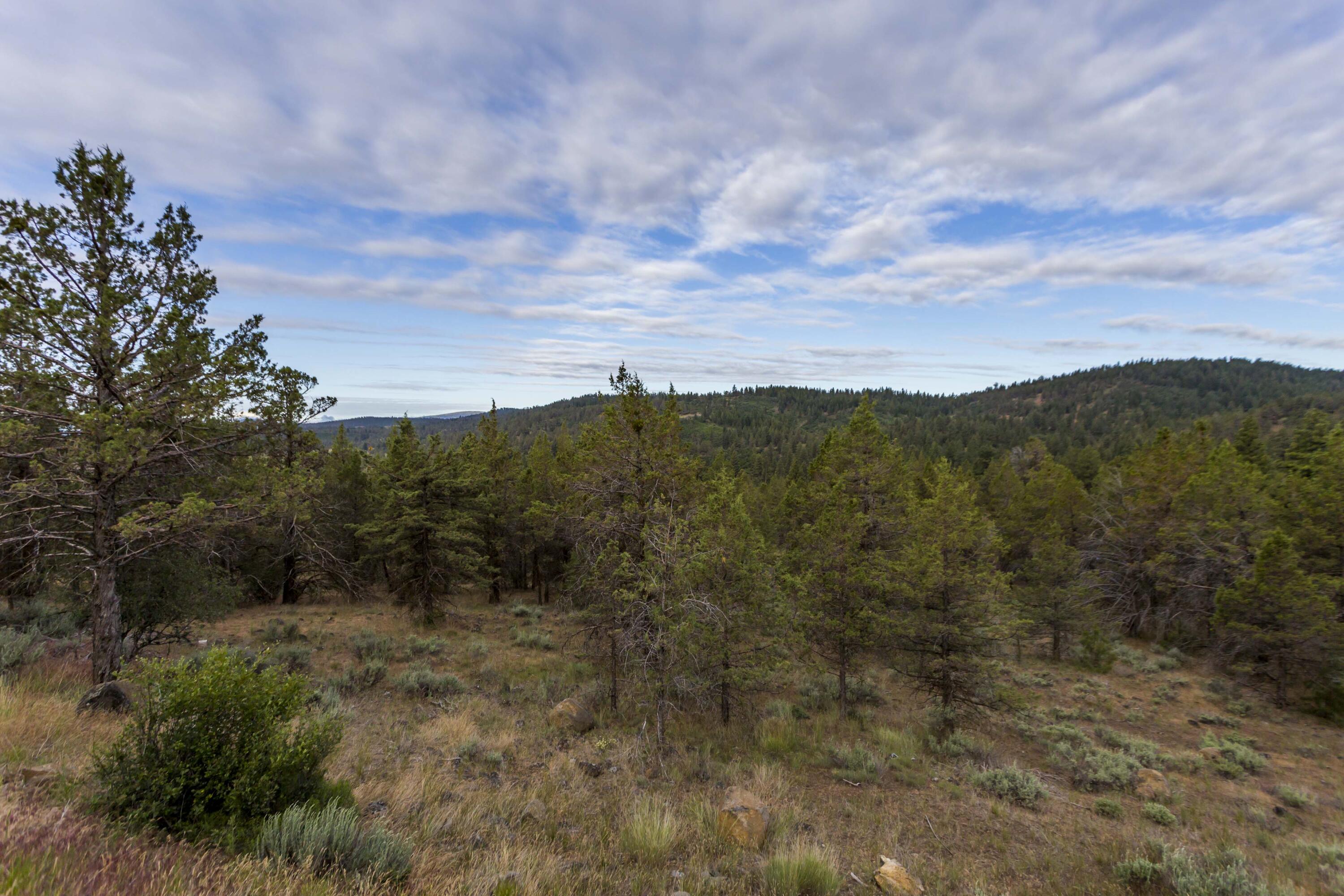 Ridgewater Subdivision -Phase 1 - Land