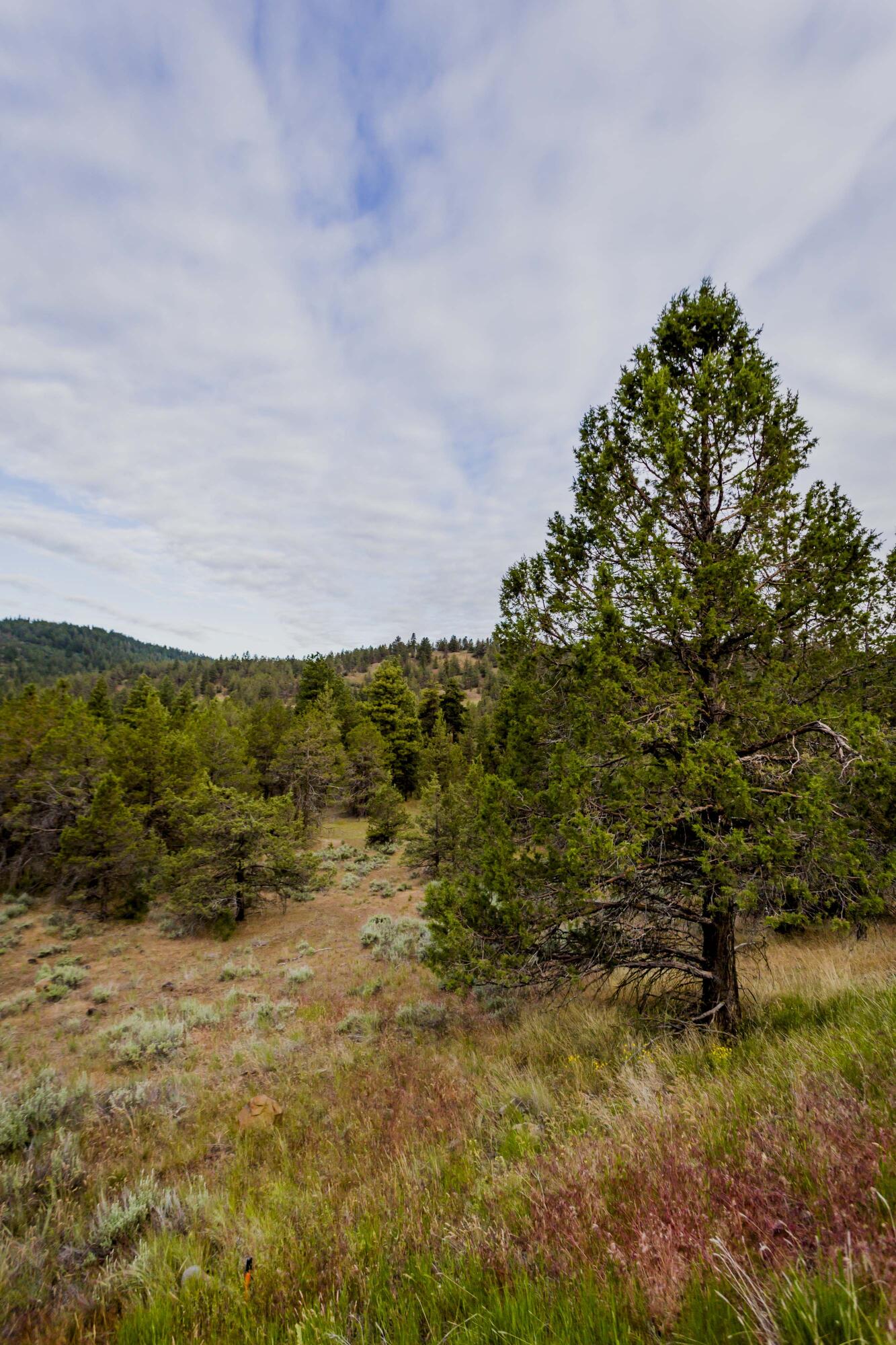 Ridgewater Subdivision -Phase 1 - Land