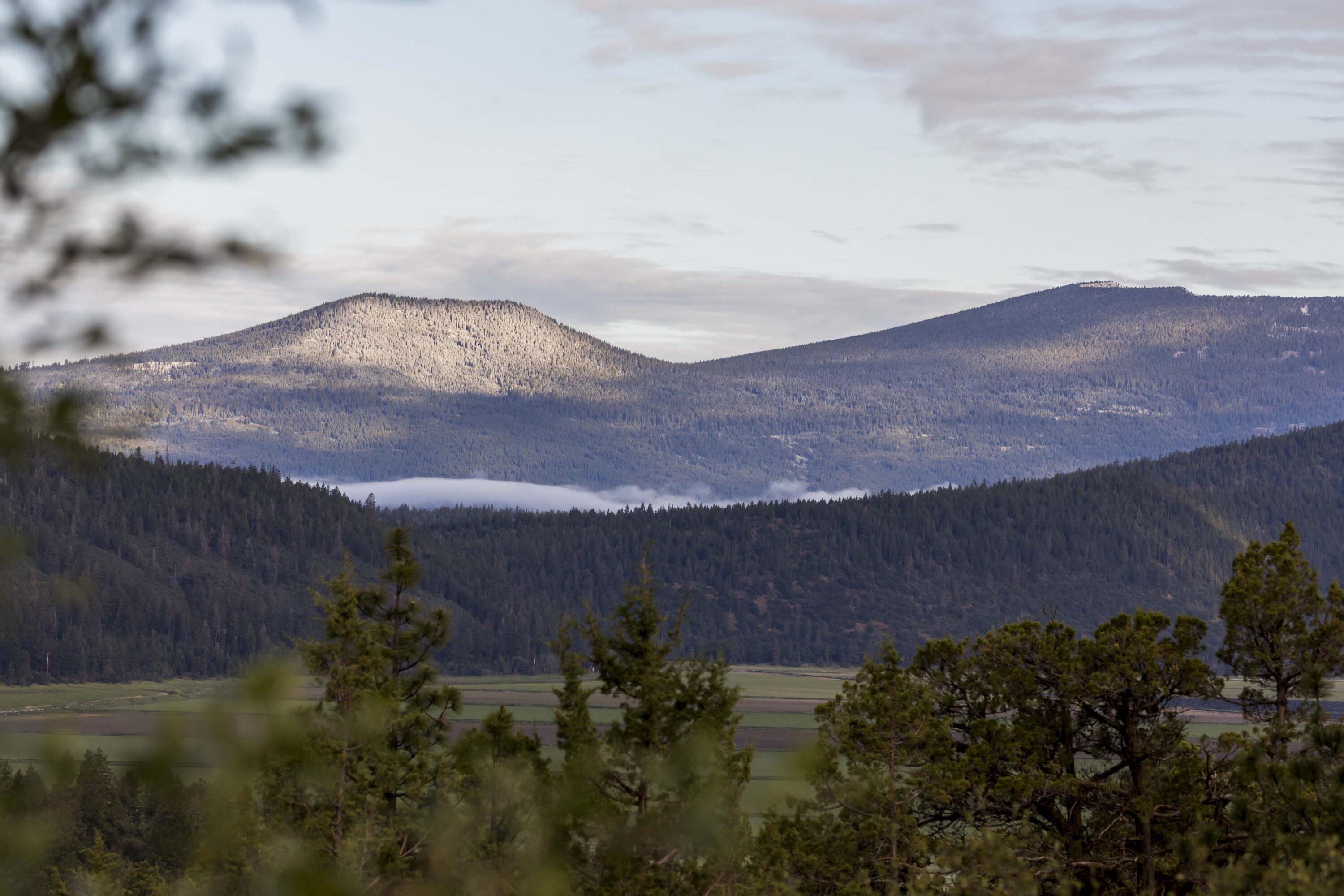 Ridgewater Subdivision -Phase 1 - Land