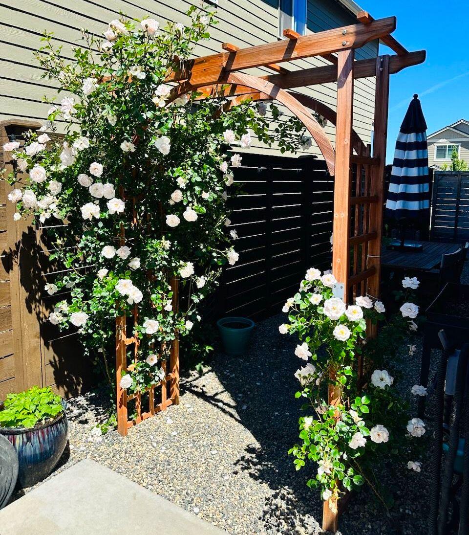 Stone Creek - Residential