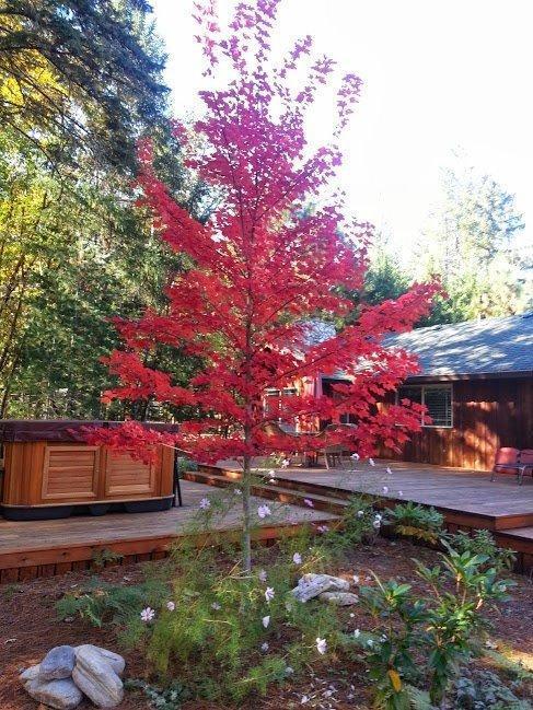 Pine Grove Estates Subdivision - Residential