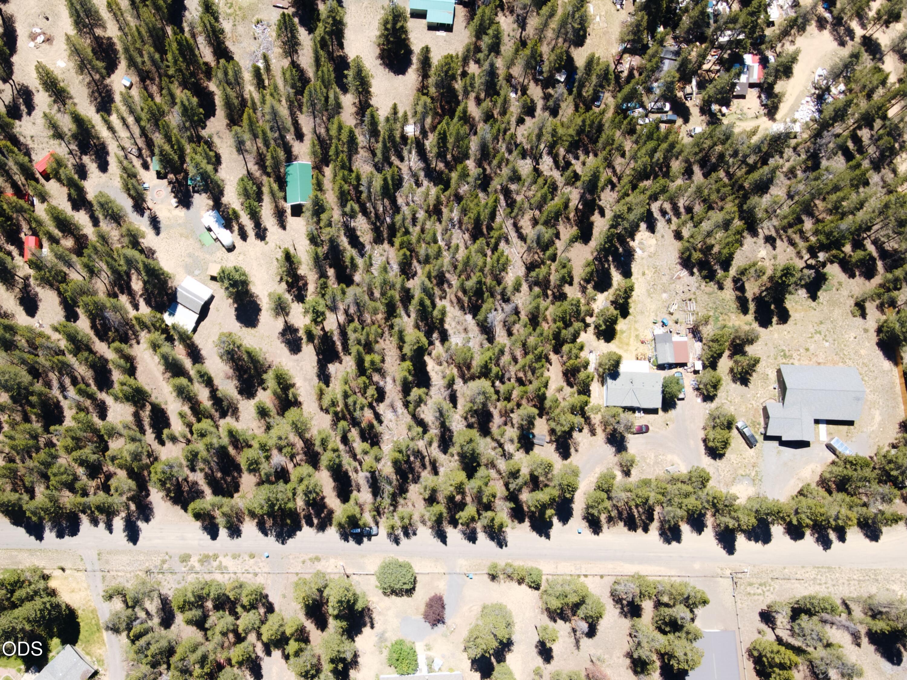 15935 Pine Lane