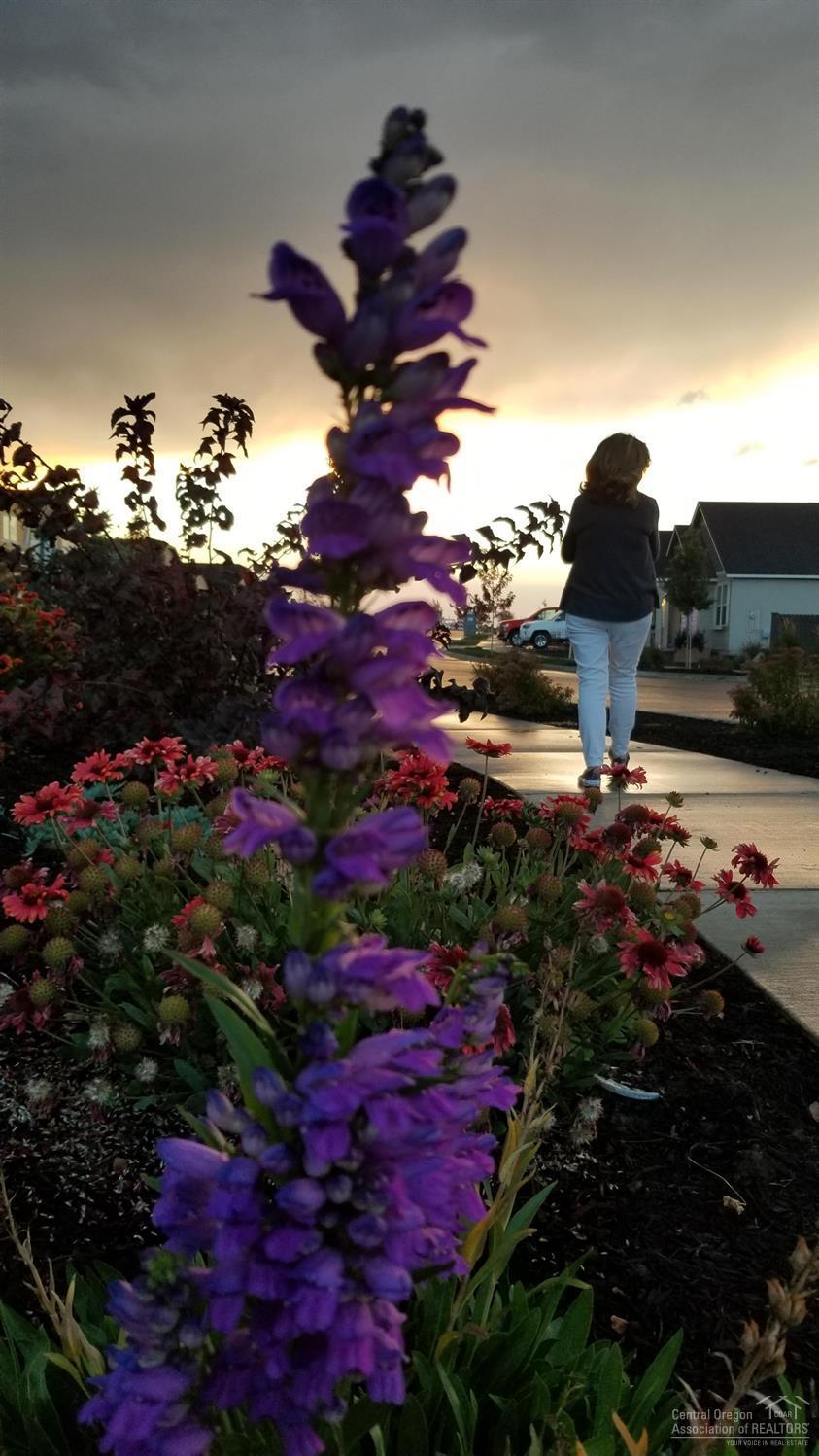 Maple Meadows - Residential