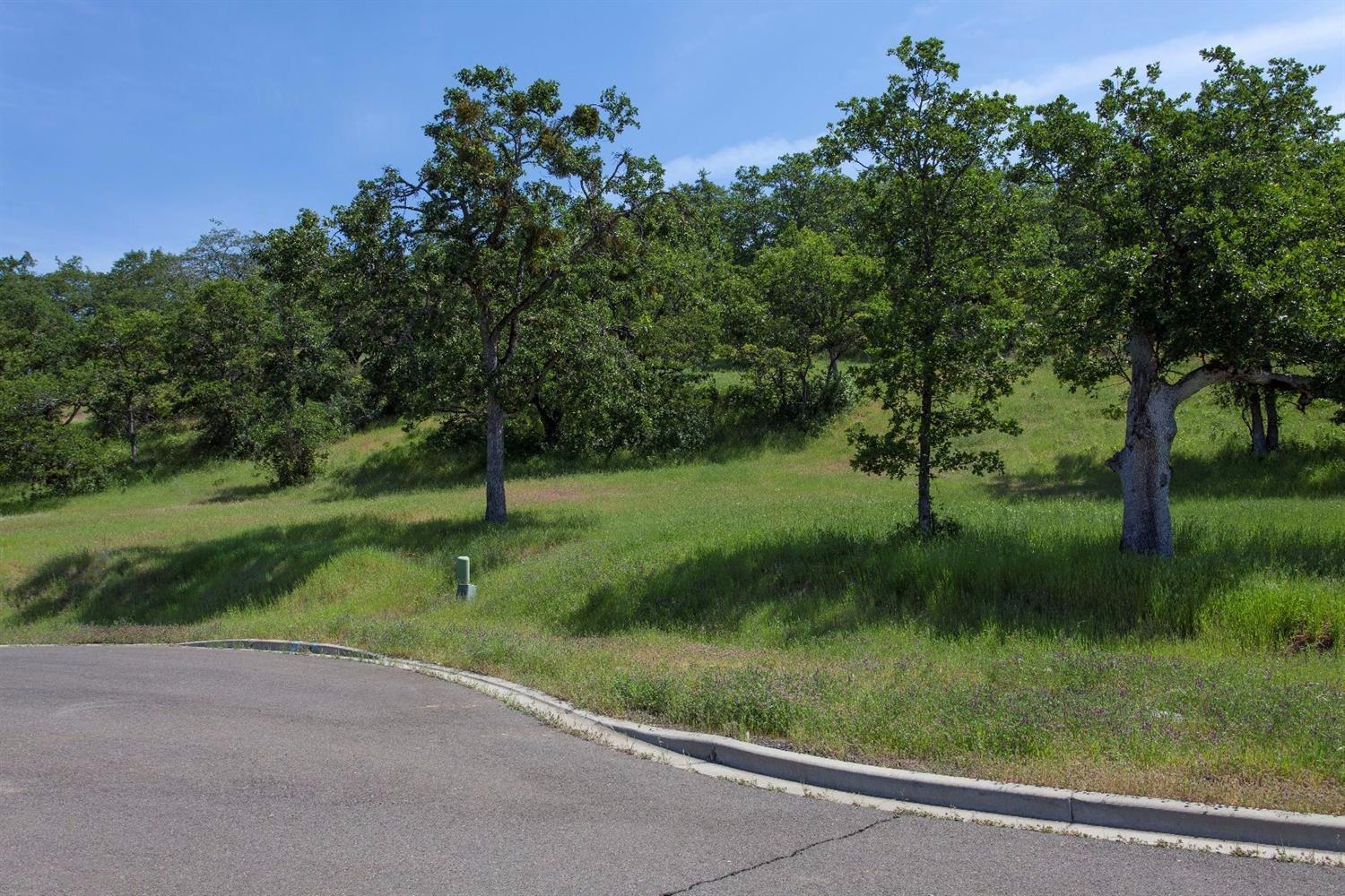 Eagle Ridge Estates - Land