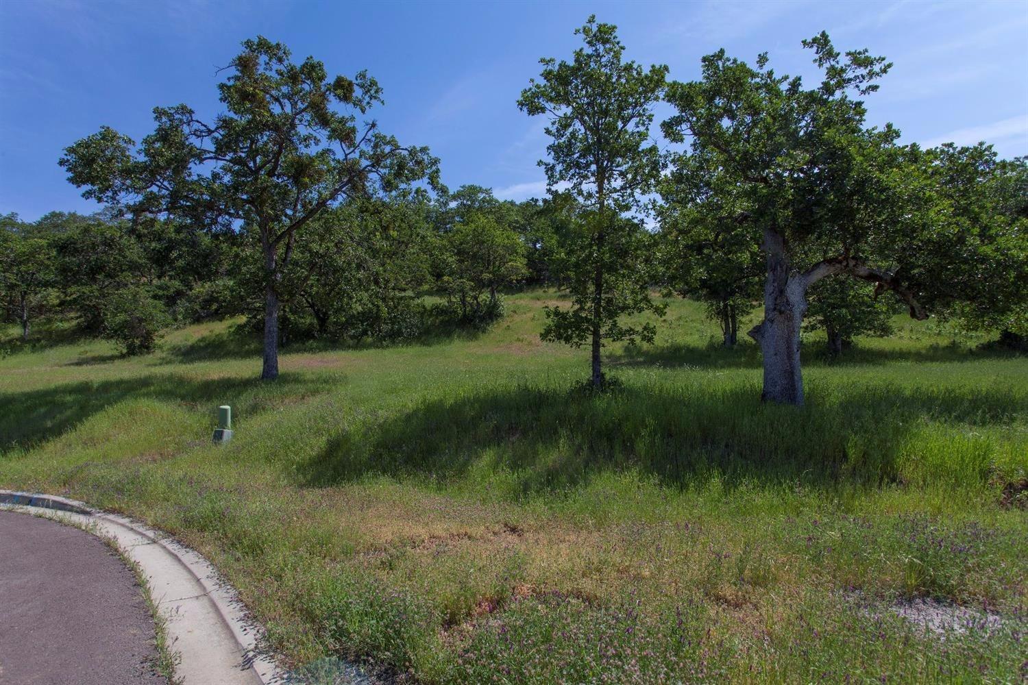 Eagle Ridge Estates - Land