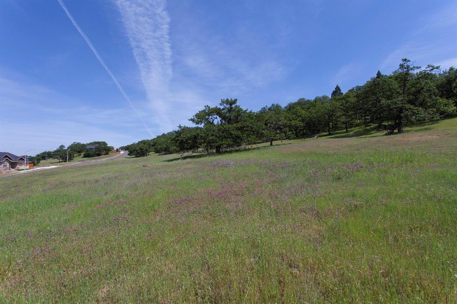 Eagle Ridge Estates - Land