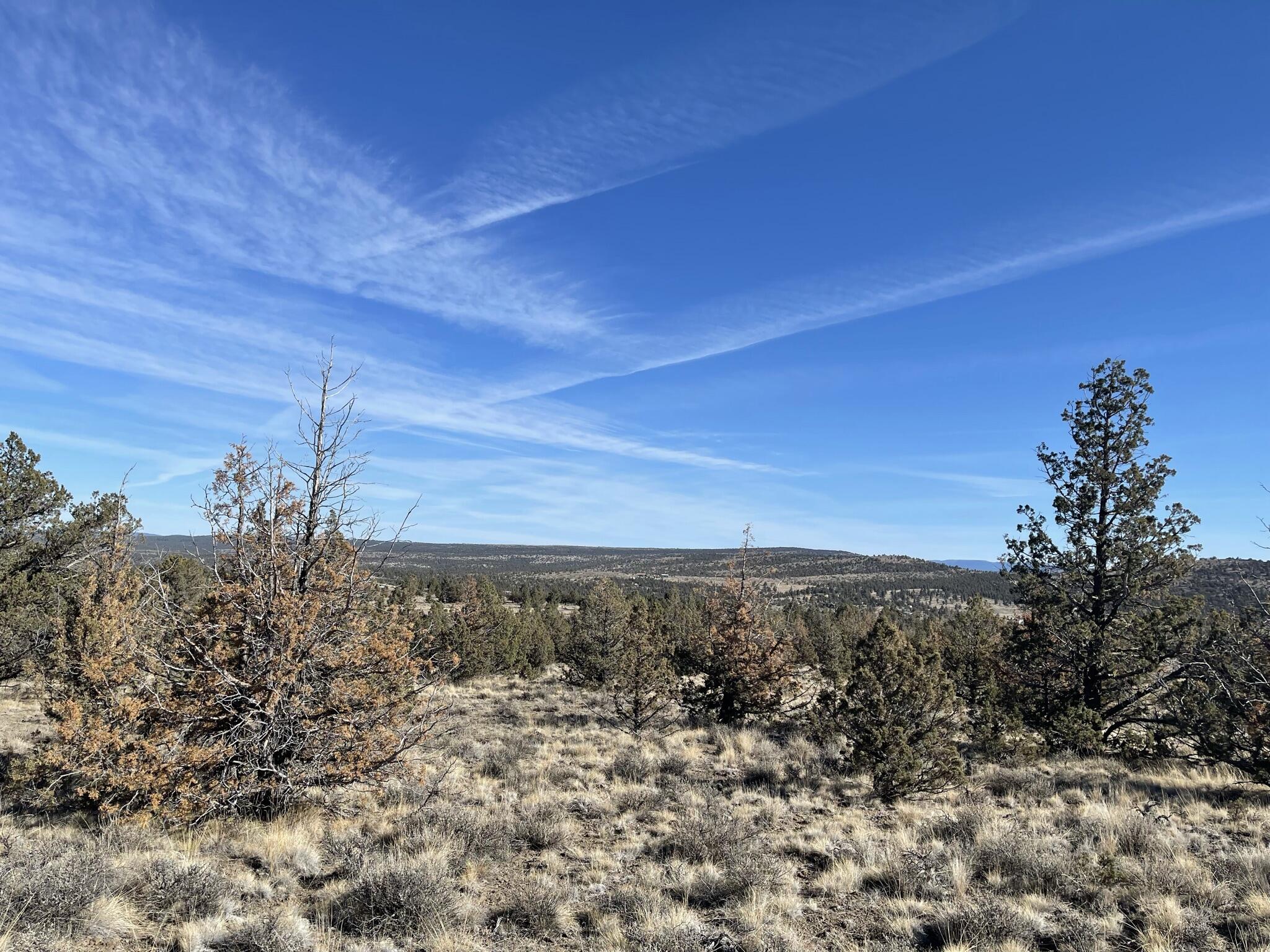 Prineville Acres - Land