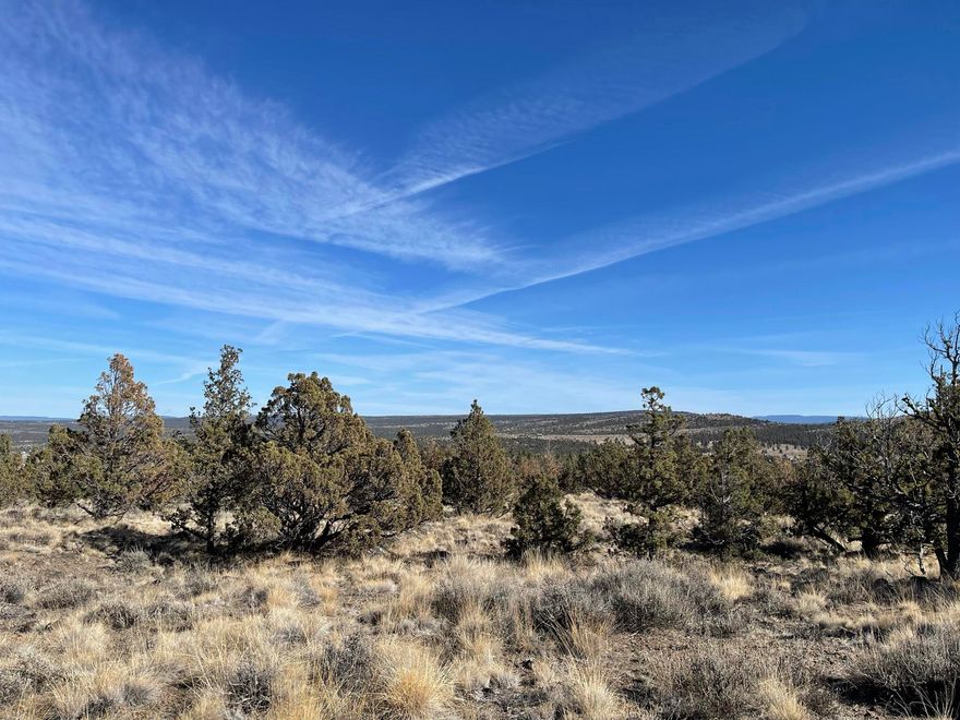 Love fishing, boating, camping? How about in your backyard?  This property in Prineville Lake Acres is the perfect place.  The nicely treed homesite is nearly 2 acres and has incredible mountain views in a desirable area of the neighborhood.     Just minutes away from Prineville Reservoir with neighborhood access to public land.