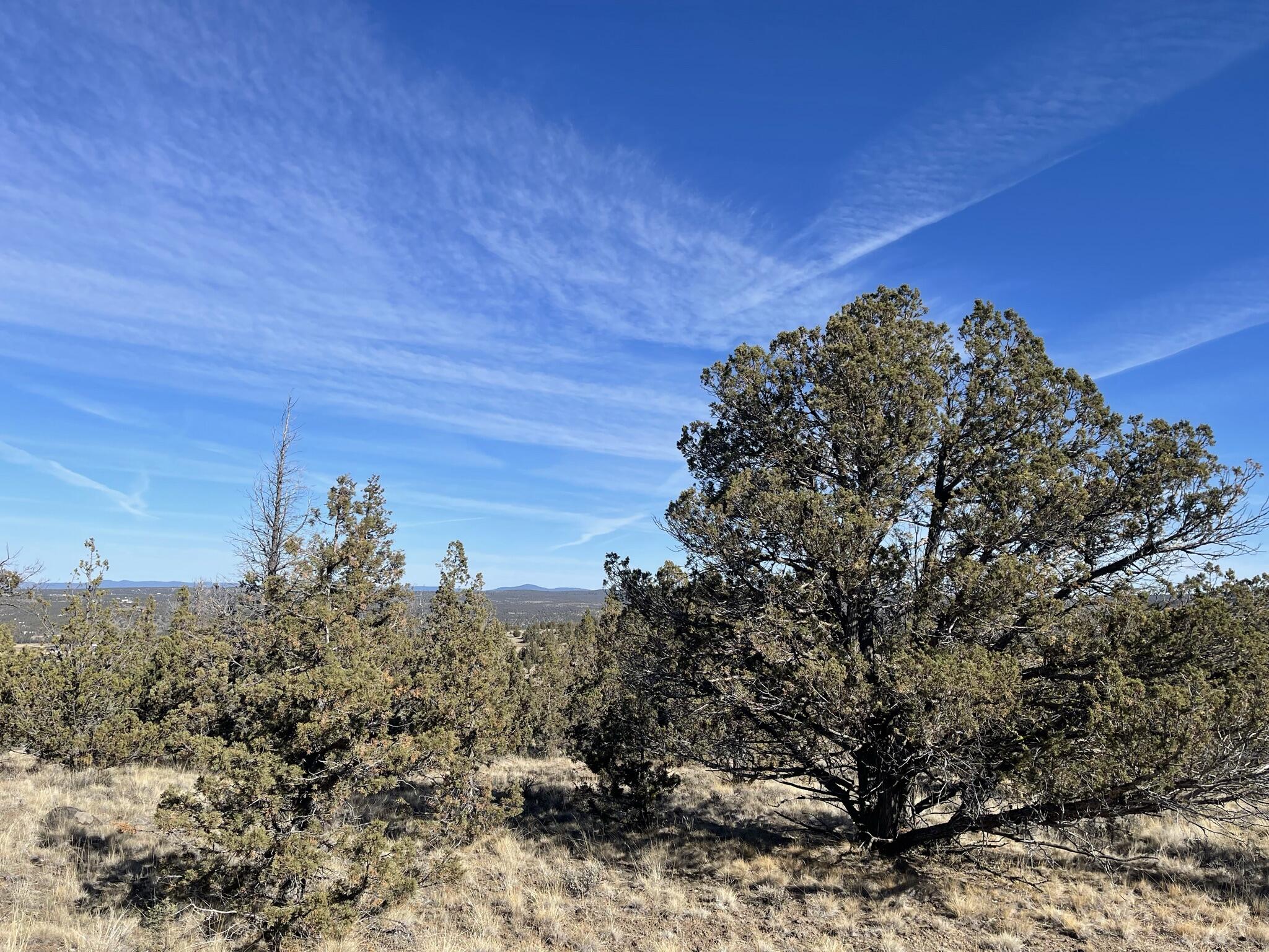 Prineville Acres - Land