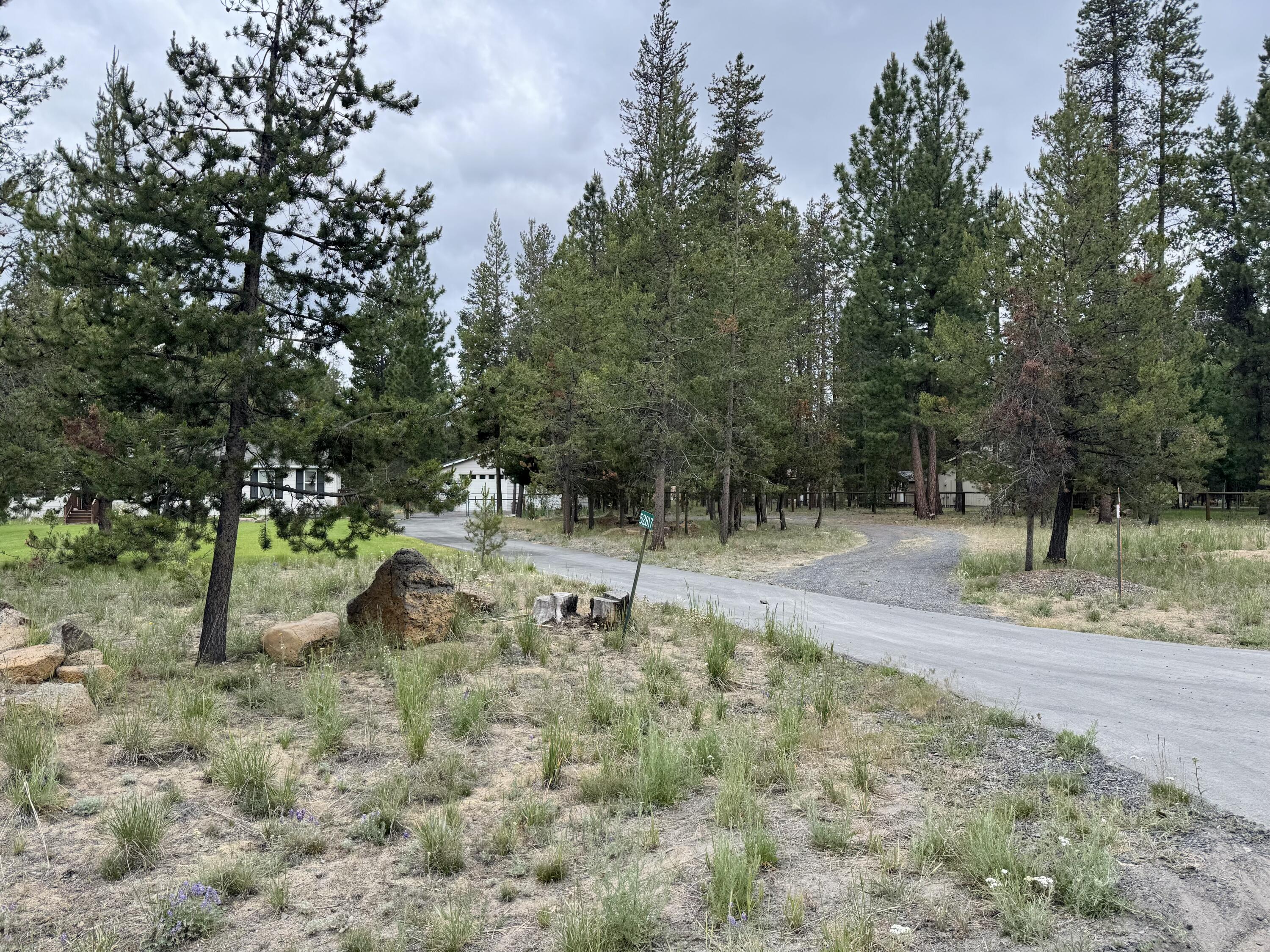 Forest View - Residential