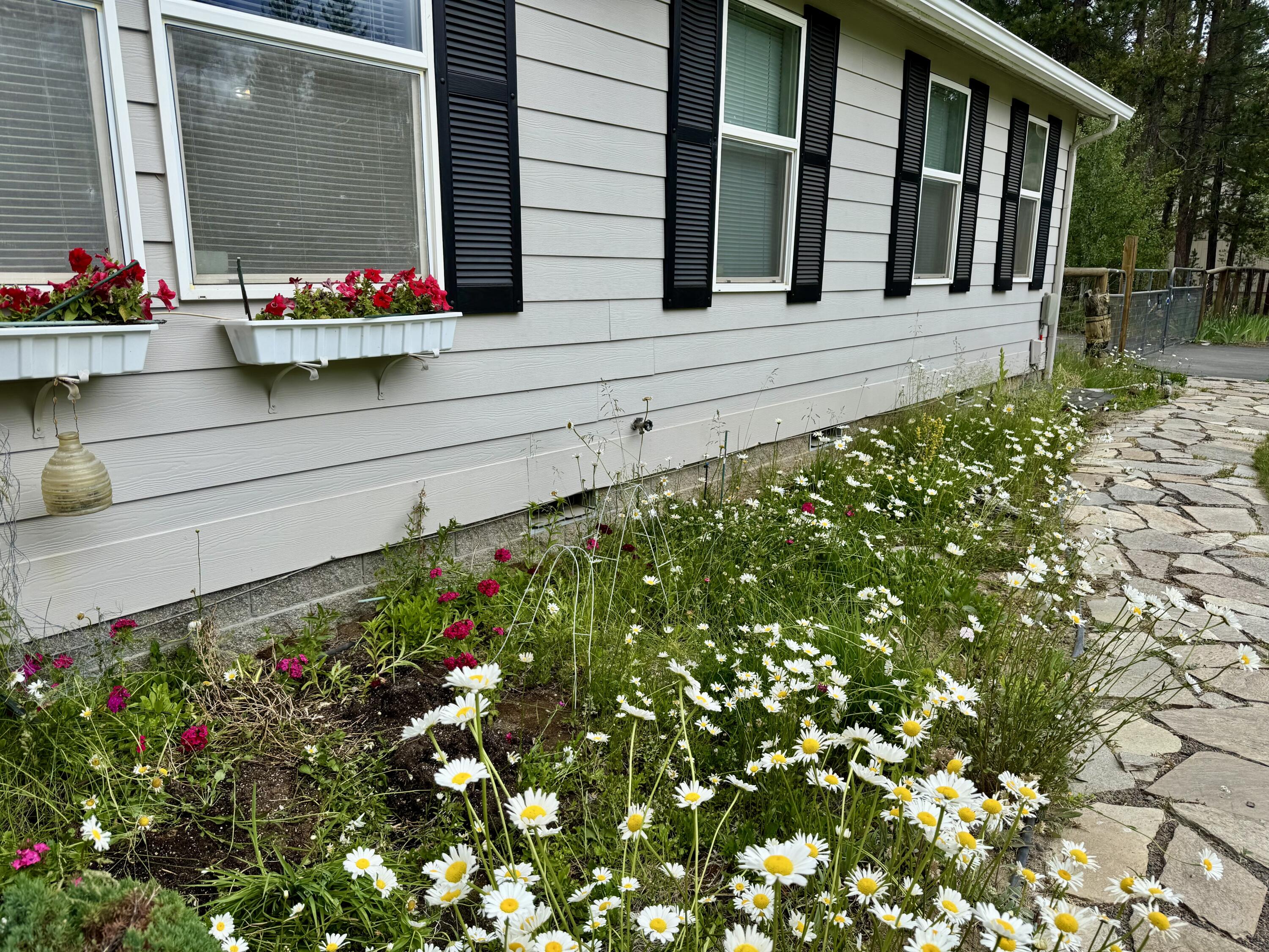 Forest View - Residential