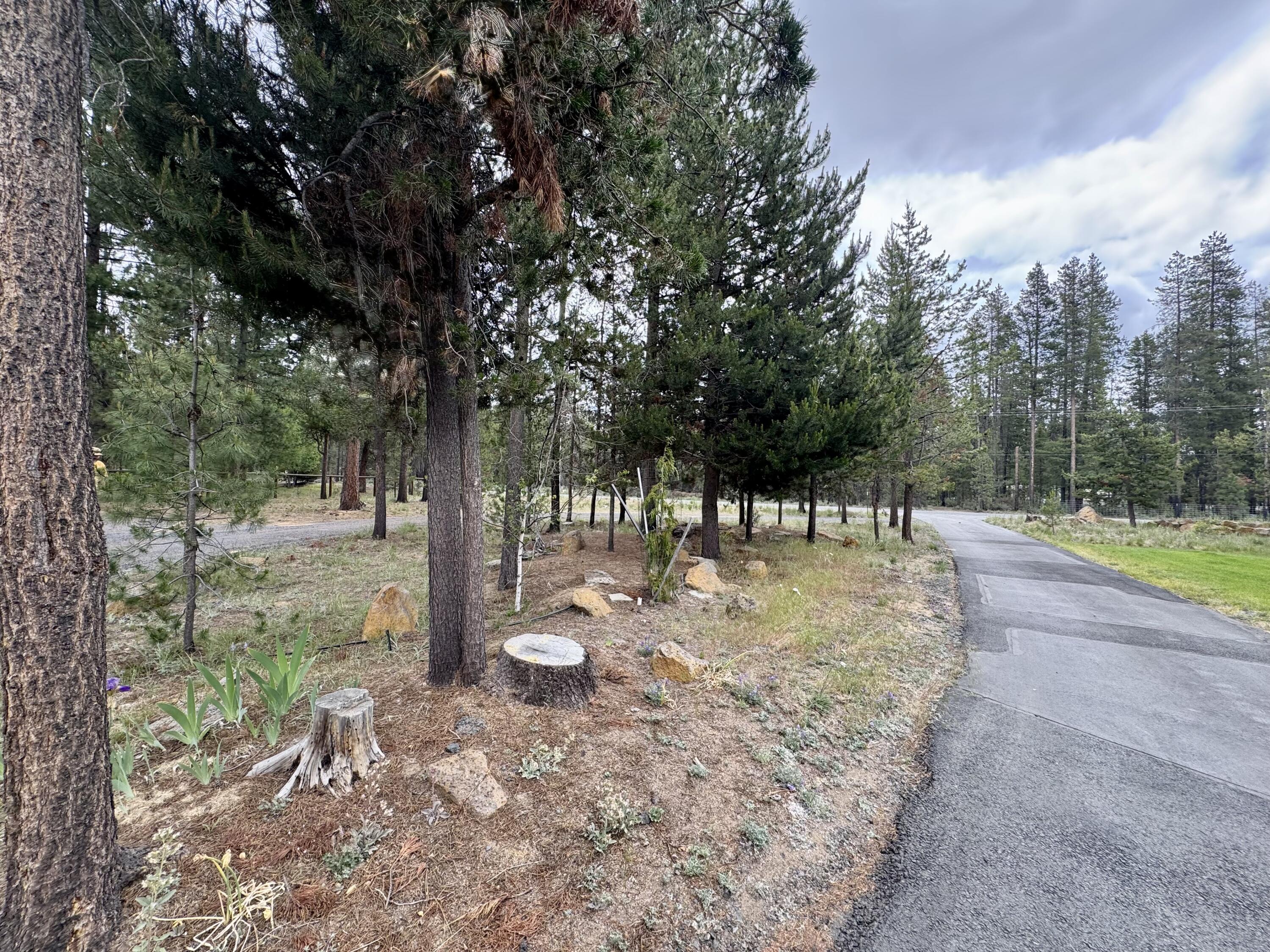 Forest View - Residential