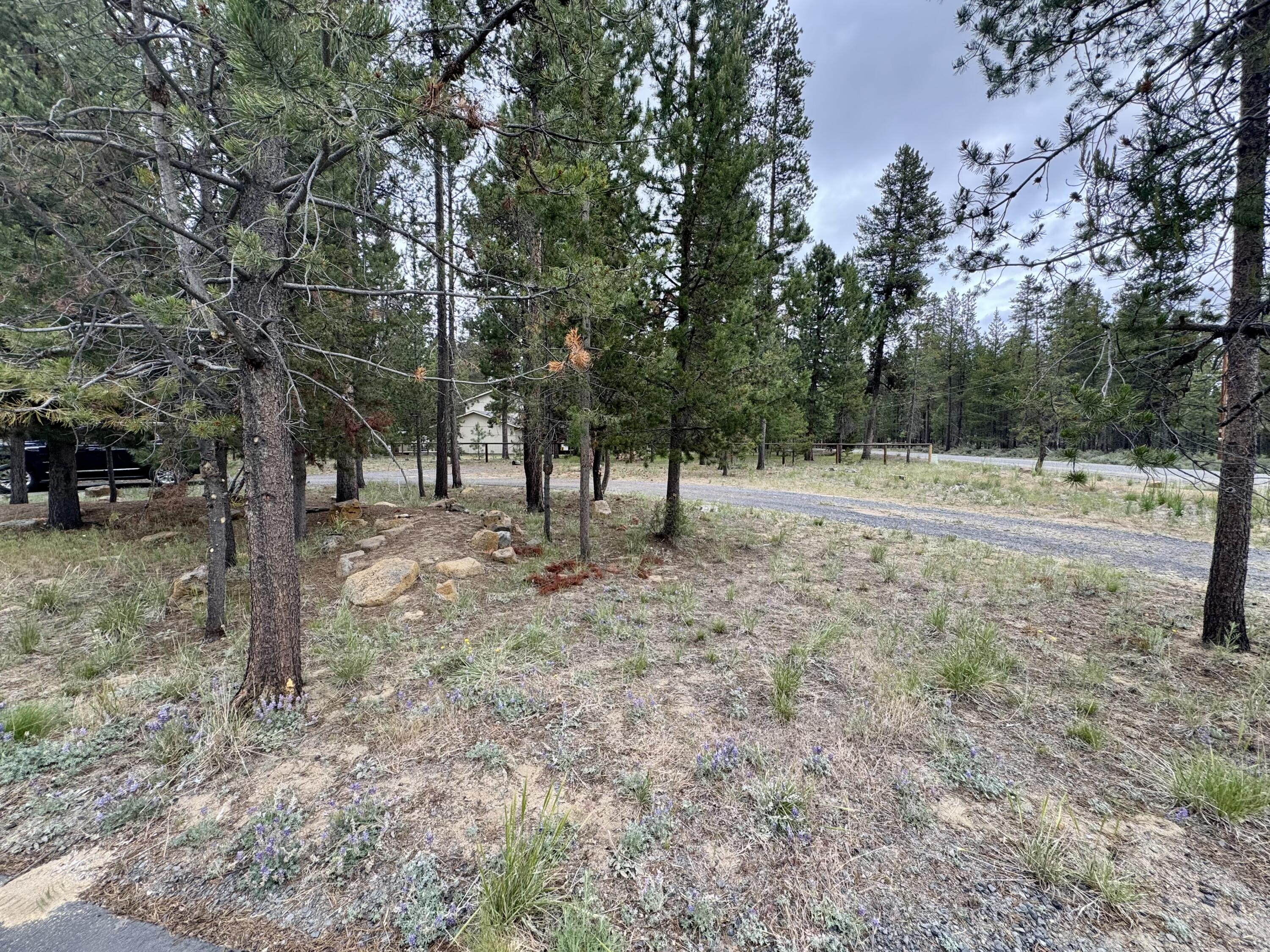 Forest View - Residential