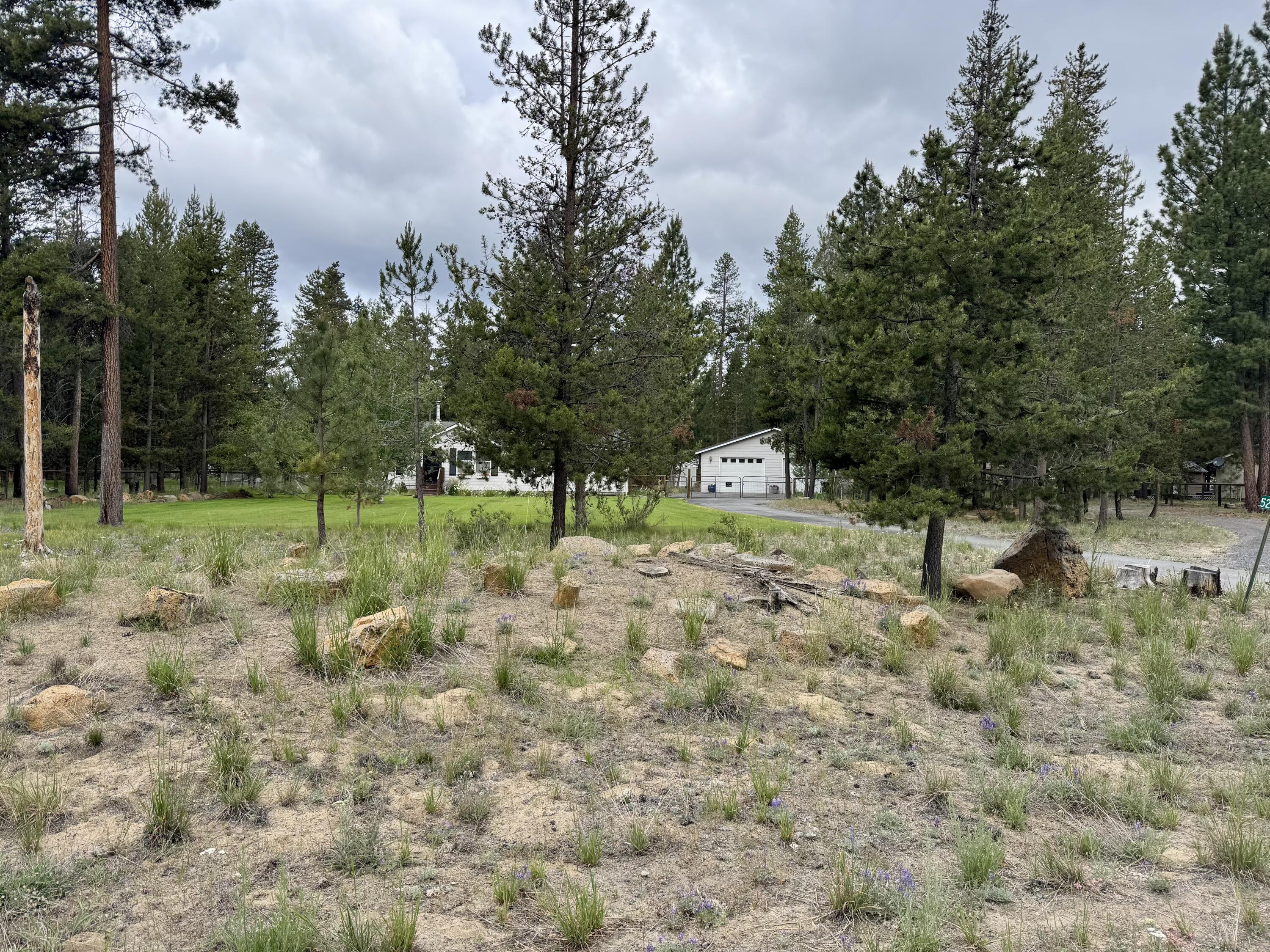 Forest View - Residential