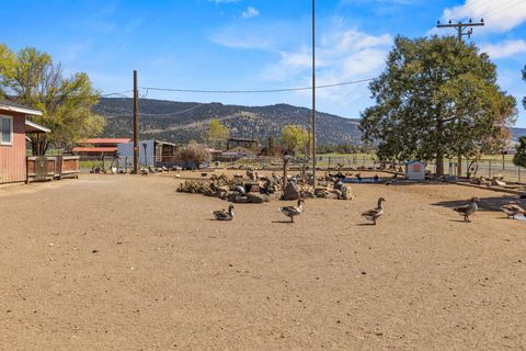 Tiny photo for 32585 Transformer Rd, Malin, OR 97632 (MLS # 220219751)