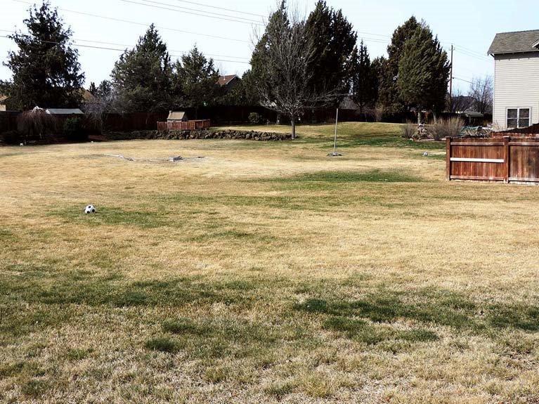 Bradetich Park - Residential