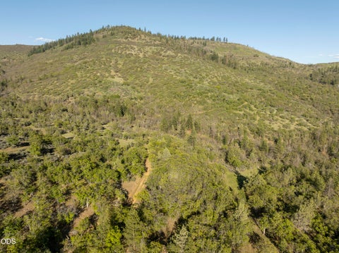 Tiny photo for 22494 Jefferson Road, Ashland, OR 97520 (MLS # 220223401)