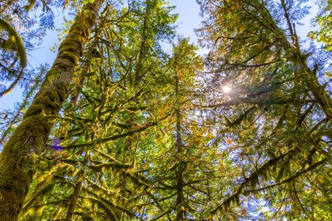 Tiny photo for 58200 E Marmot Road, Sandy, OR 97055 (MLS # 220220024)