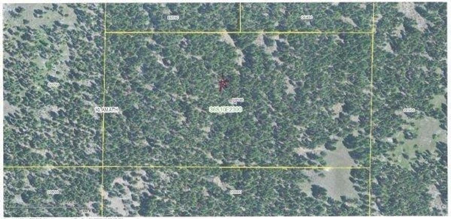 Close to the Town of Sprague River yet private and hidden in the trees! This parcel has legal access from both east and west boundaries. Not far off Bliss Road. Rare find!