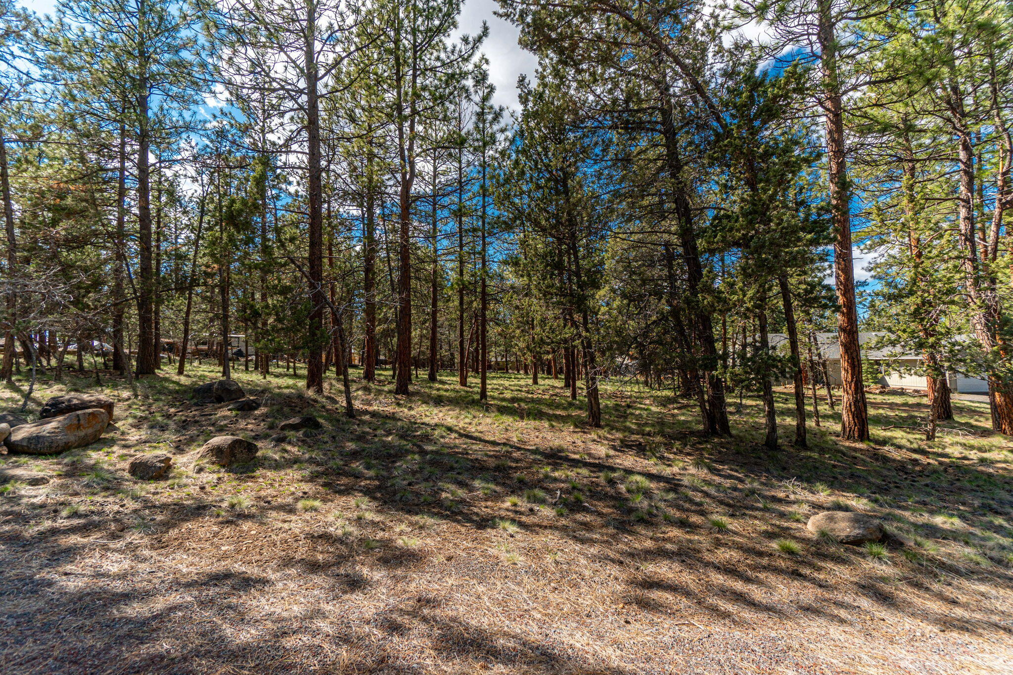 Squaw Creek Canyon - Land