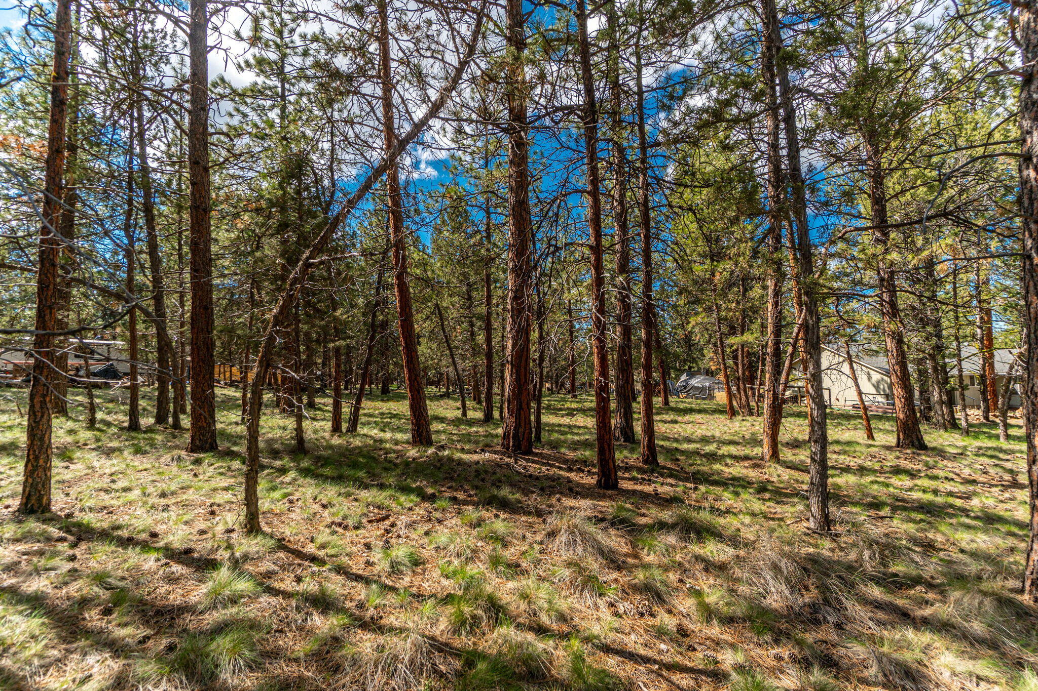 Squaw Creek Canyon - Land
